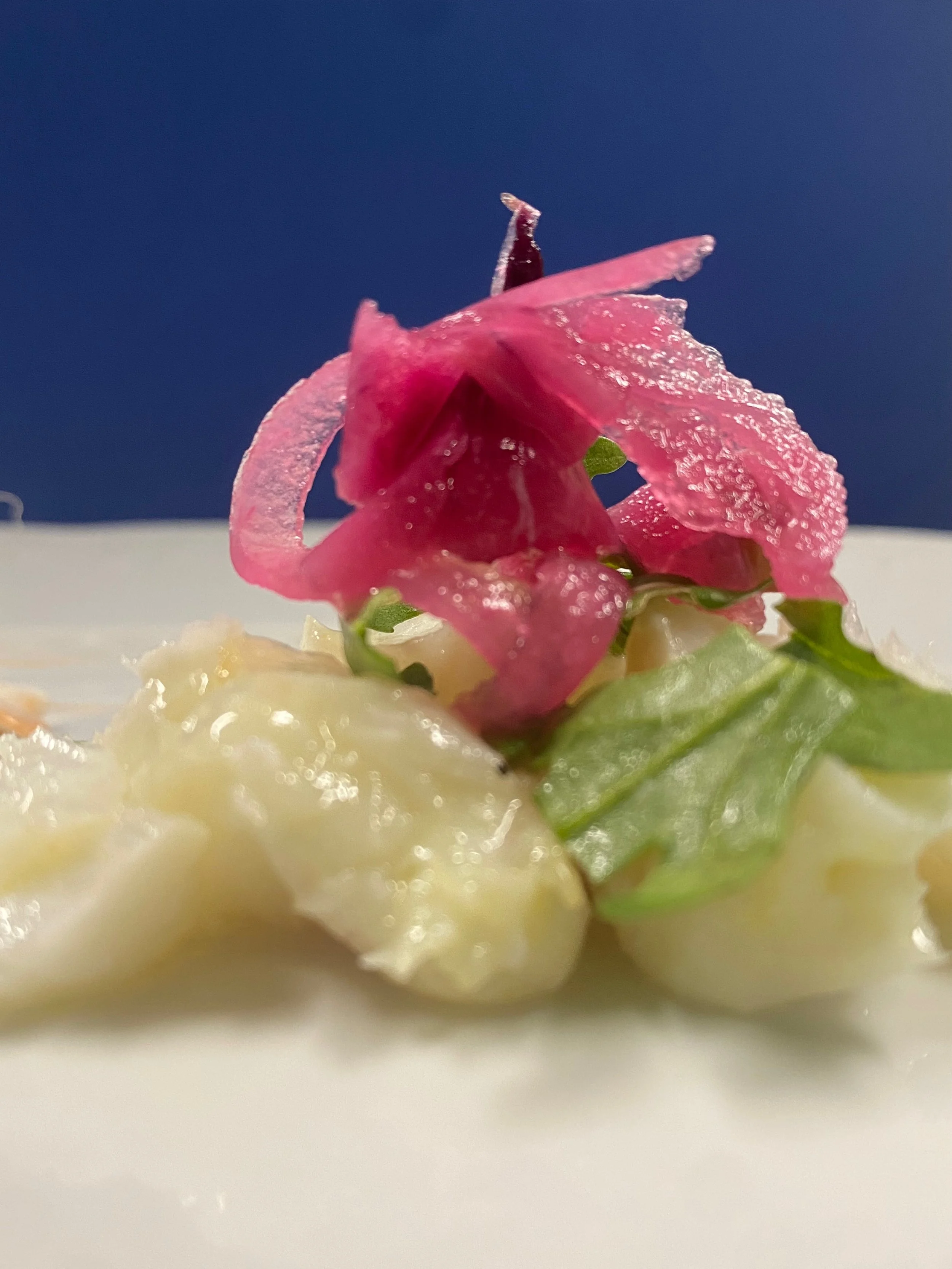 Fiori rosa e verde con gocce d'acqua su uno sfondo blu