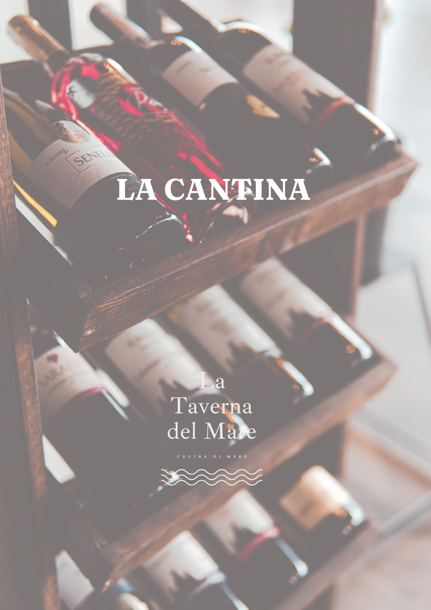 Scaffale con bottiglie di vino in una cantina.