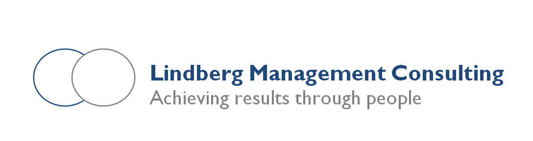 LINDBERG MANAGEMENT CONSULTING 