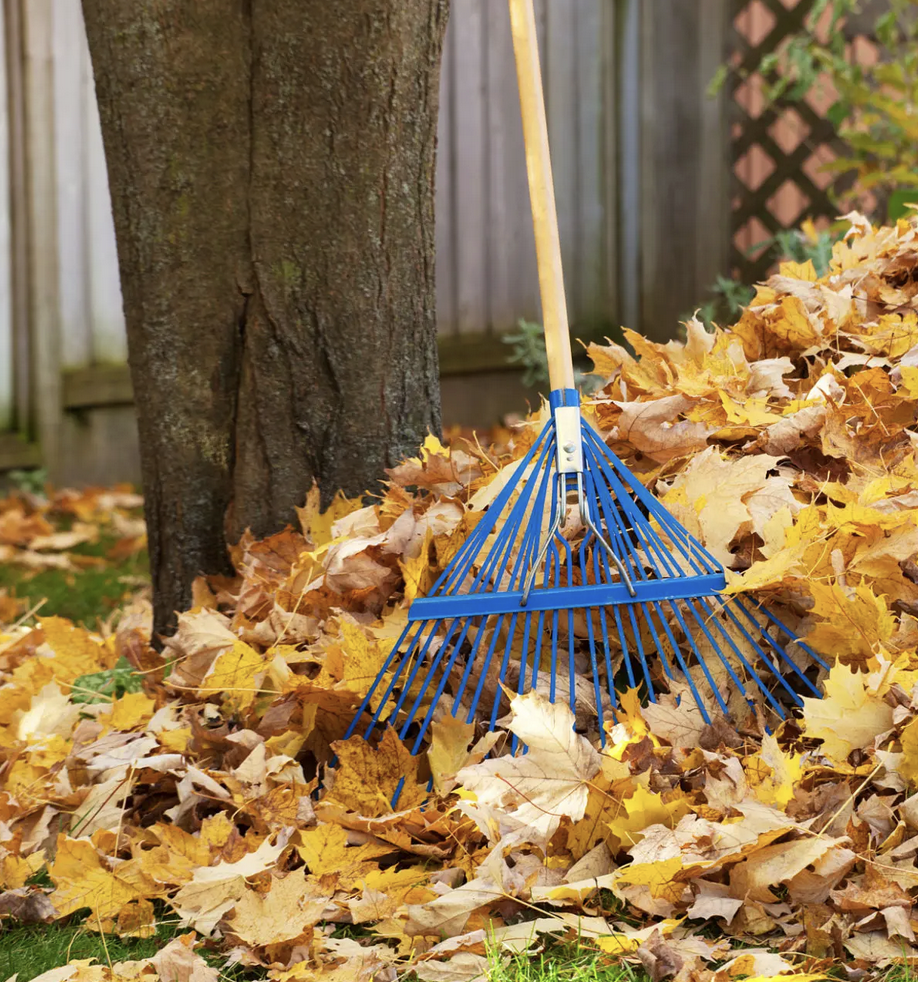 Bildschirm­foto 2026-03-07 um 10.00.54.png