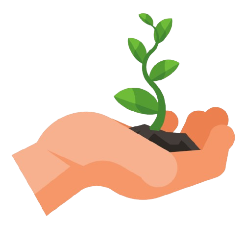 A hand holding a small plant with green leaves growing in dark soil.