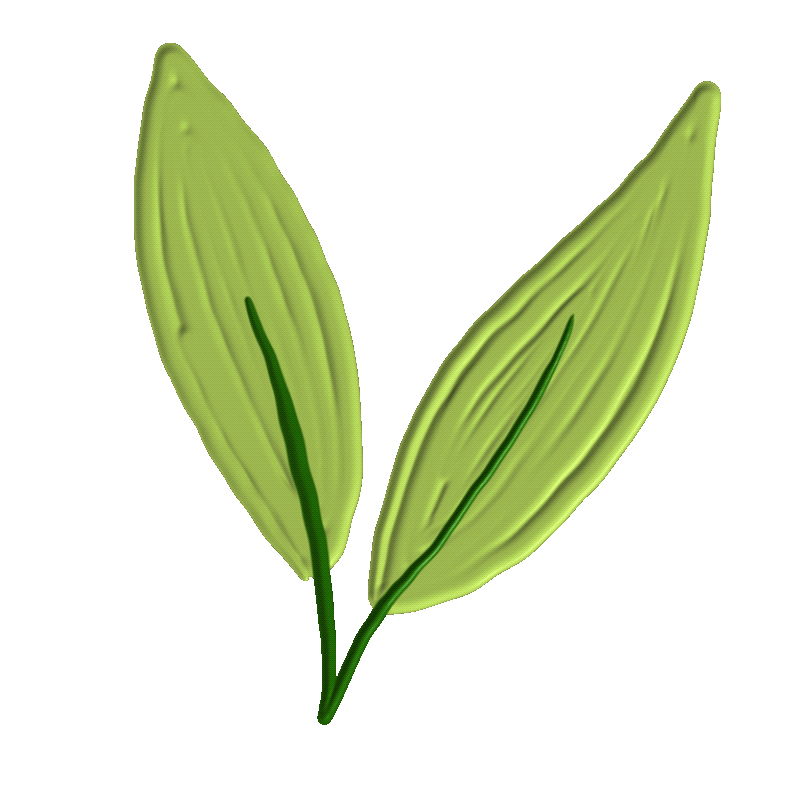 A digital illustration of two green leaves attached to a stem against a green background.