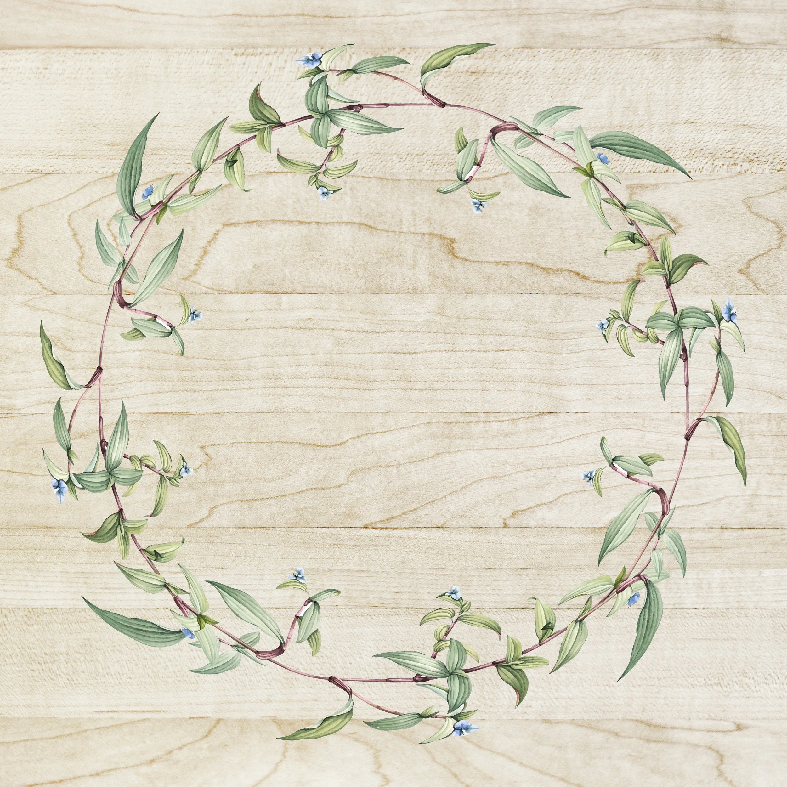 Illustration of a circular wreath made of green leaves, small blue flowers, and reddish stems, on a light wooden background.