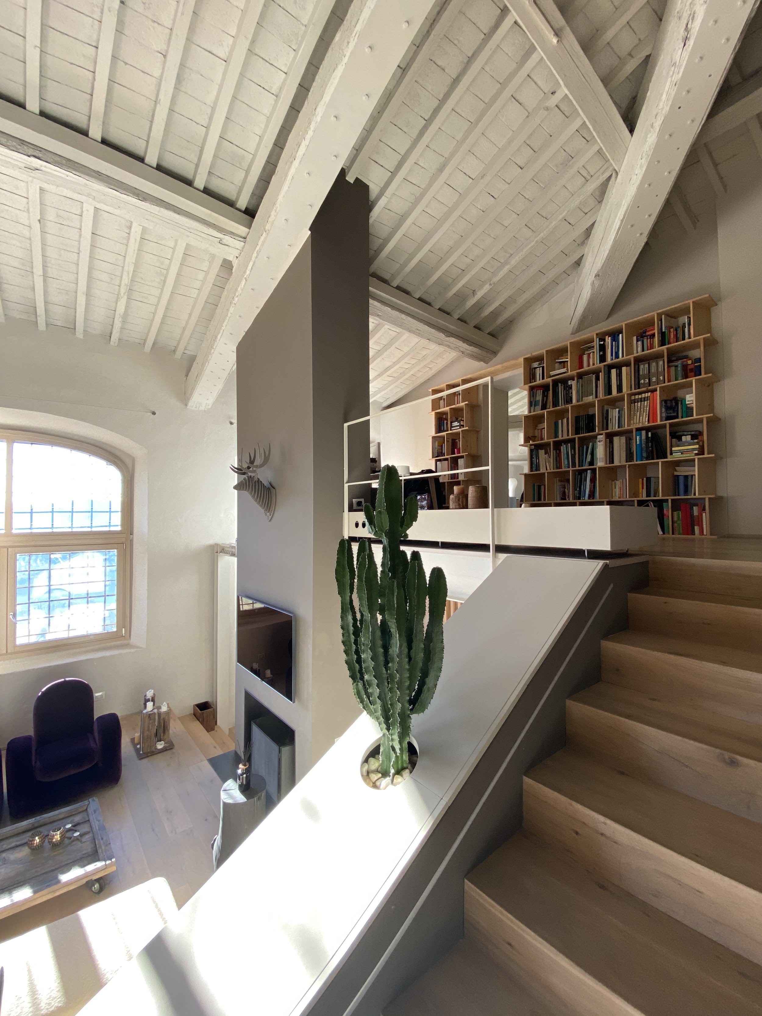 Interno di un appartamento con soffitto in legno a vista, librerie sopra le scale e una pianta di cactus.