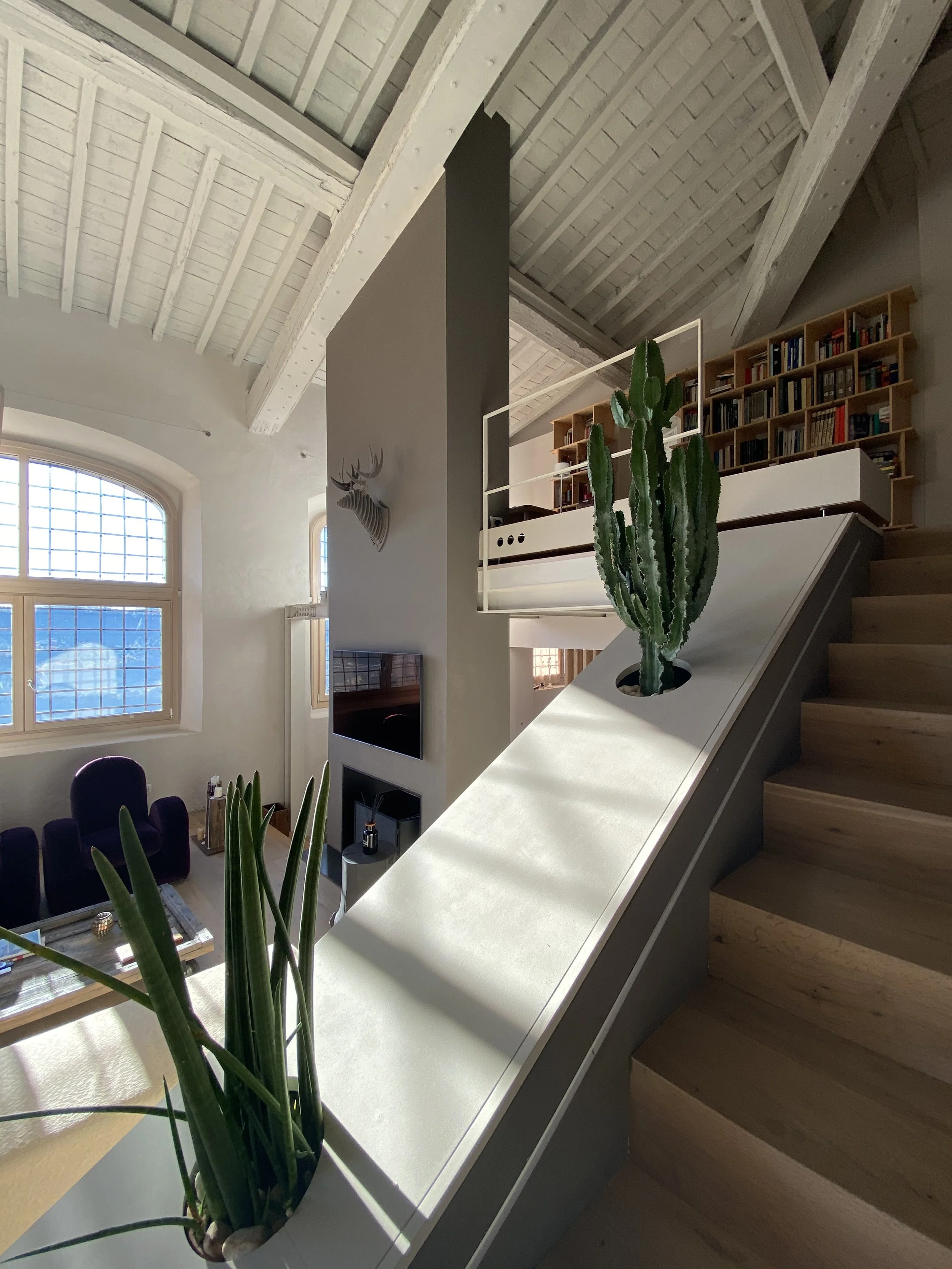 Interno di una casa con soffitto a spiovente in legno sbiancato, finestre con grate in vetro, piante come un cactus e una pianta in vaso, librerie di legno, televisore e zona lettura.
