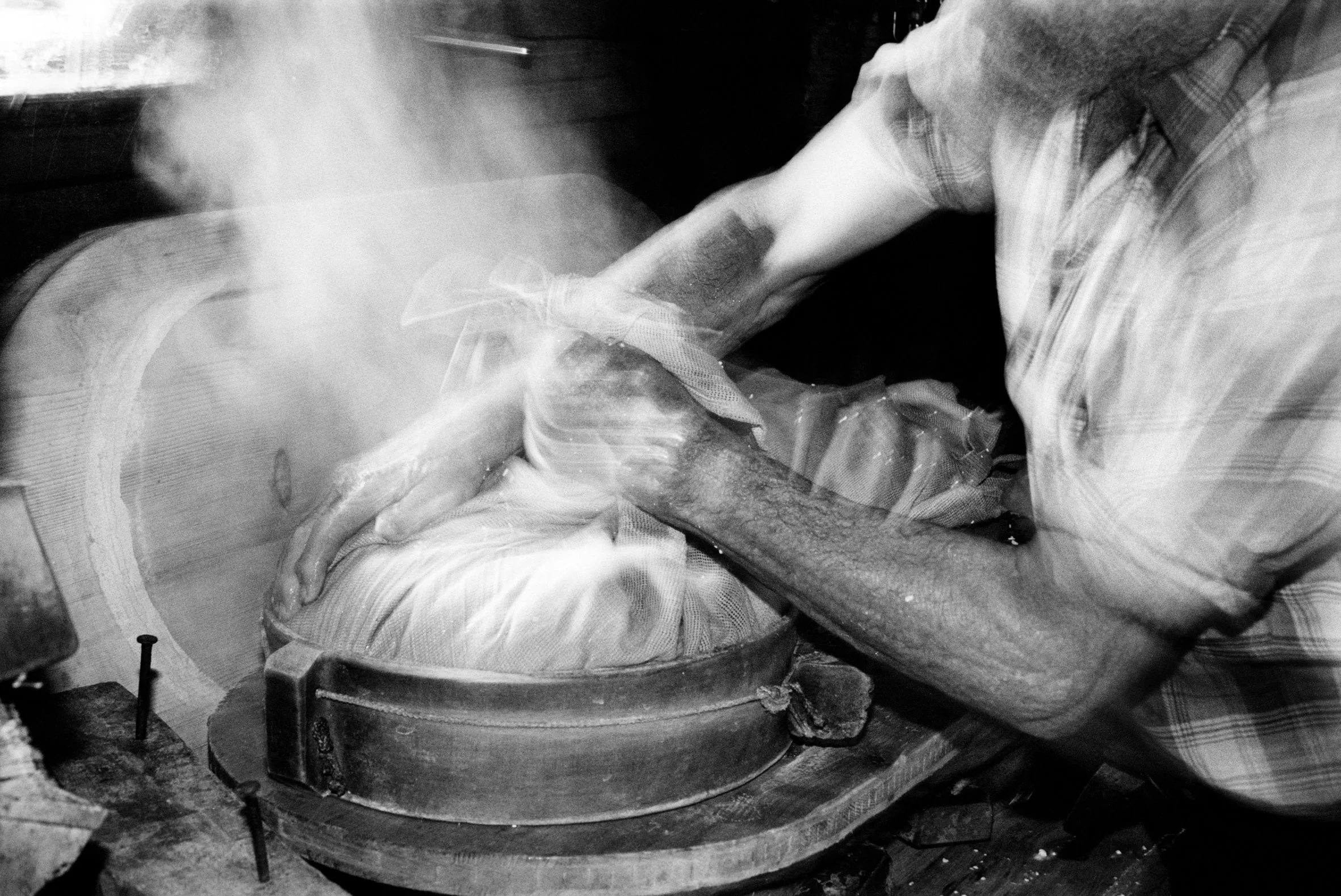 Der Käse wird.jpg
