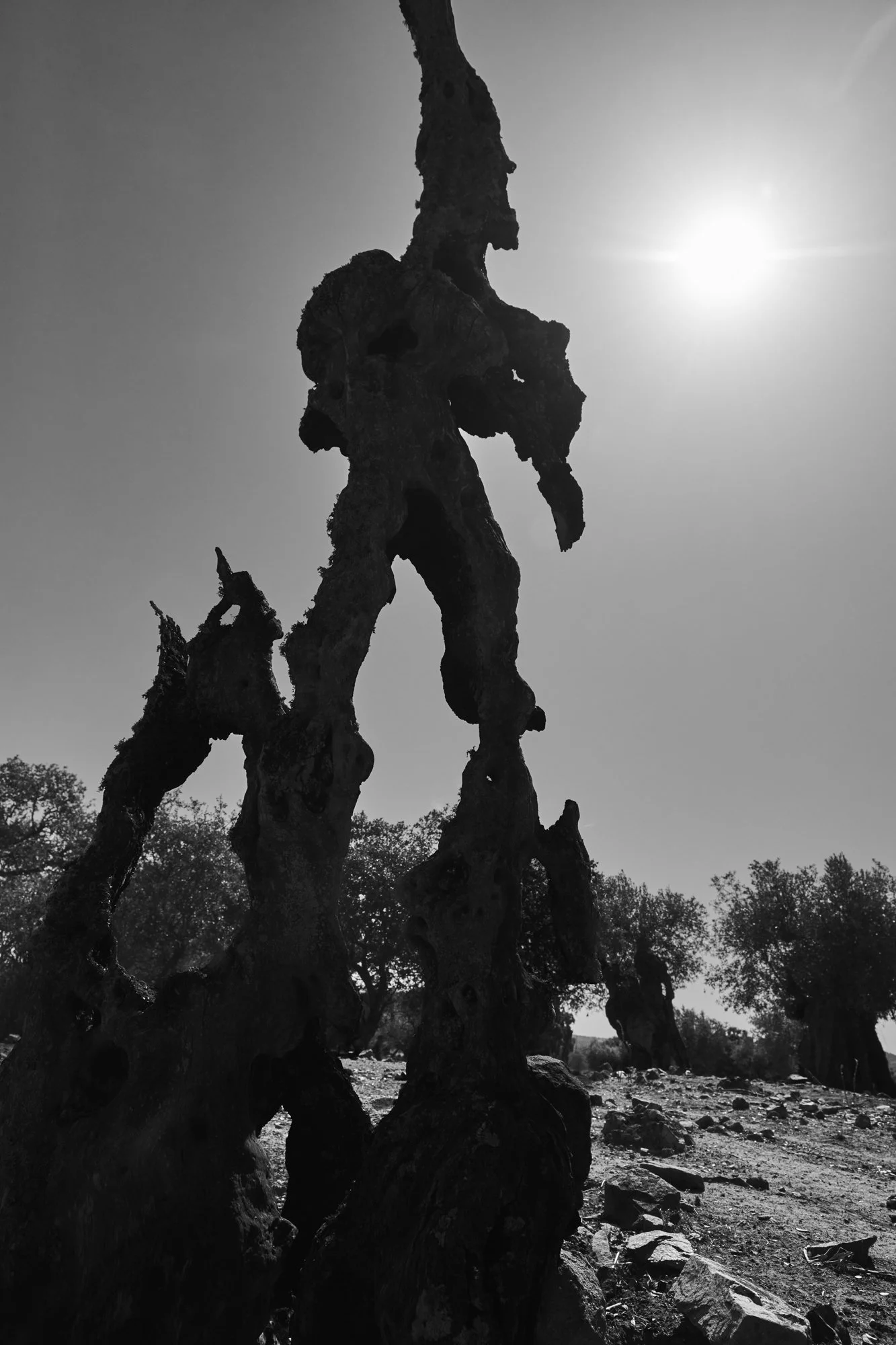 Kobold - a Burnt Tree defending against all comers