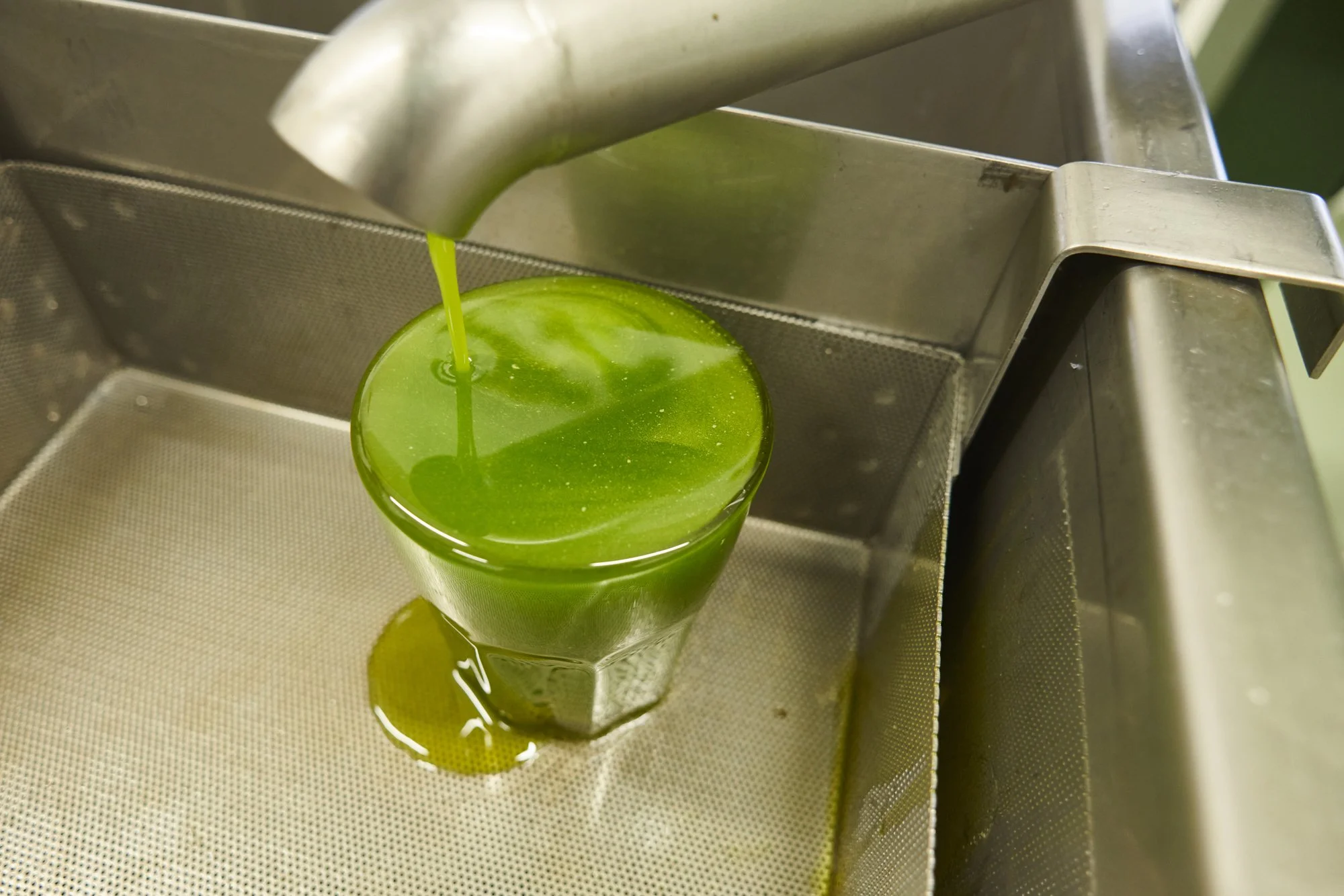 Dabaronia Olive Farm 2024