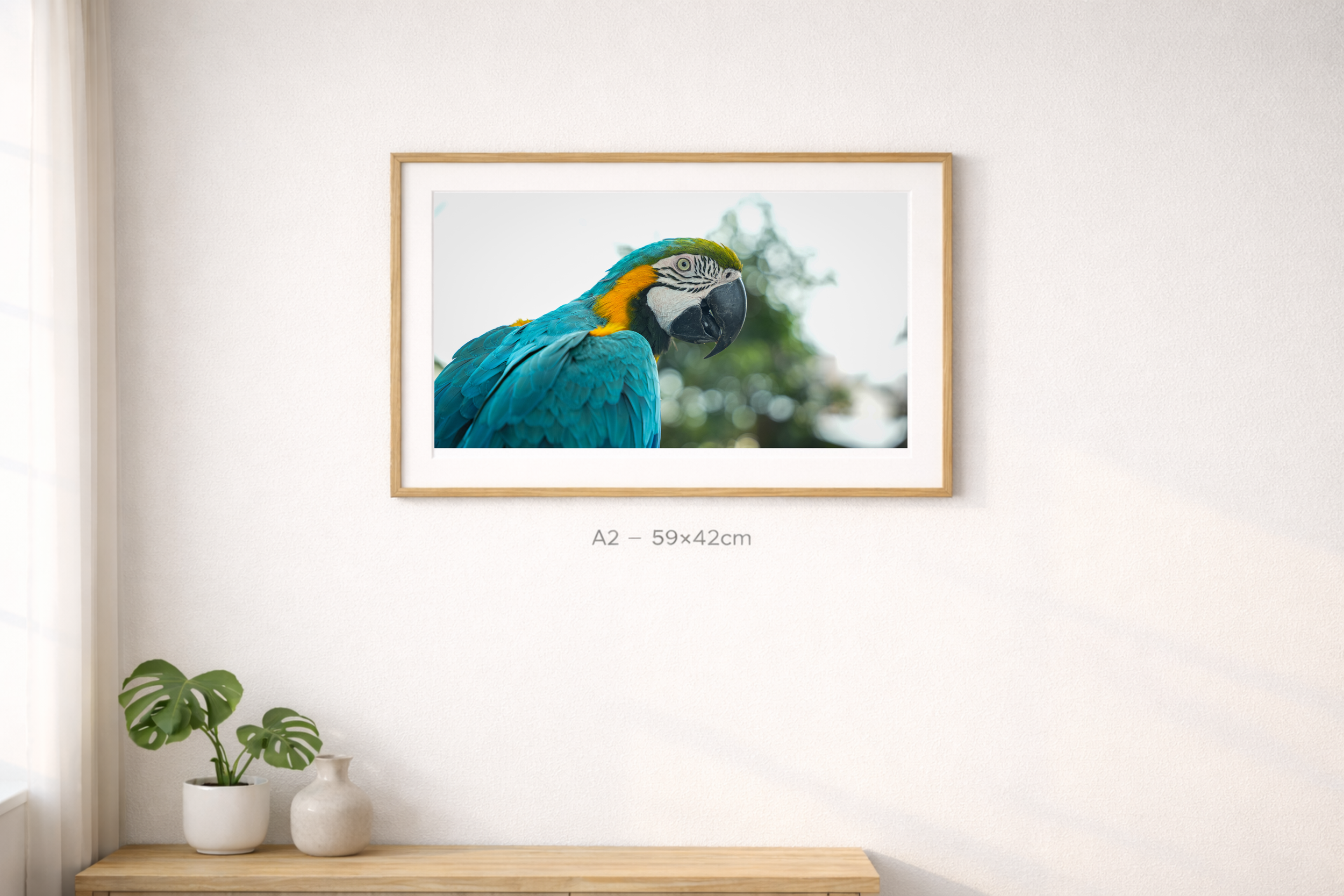 A2 Mockup - MS-7.png