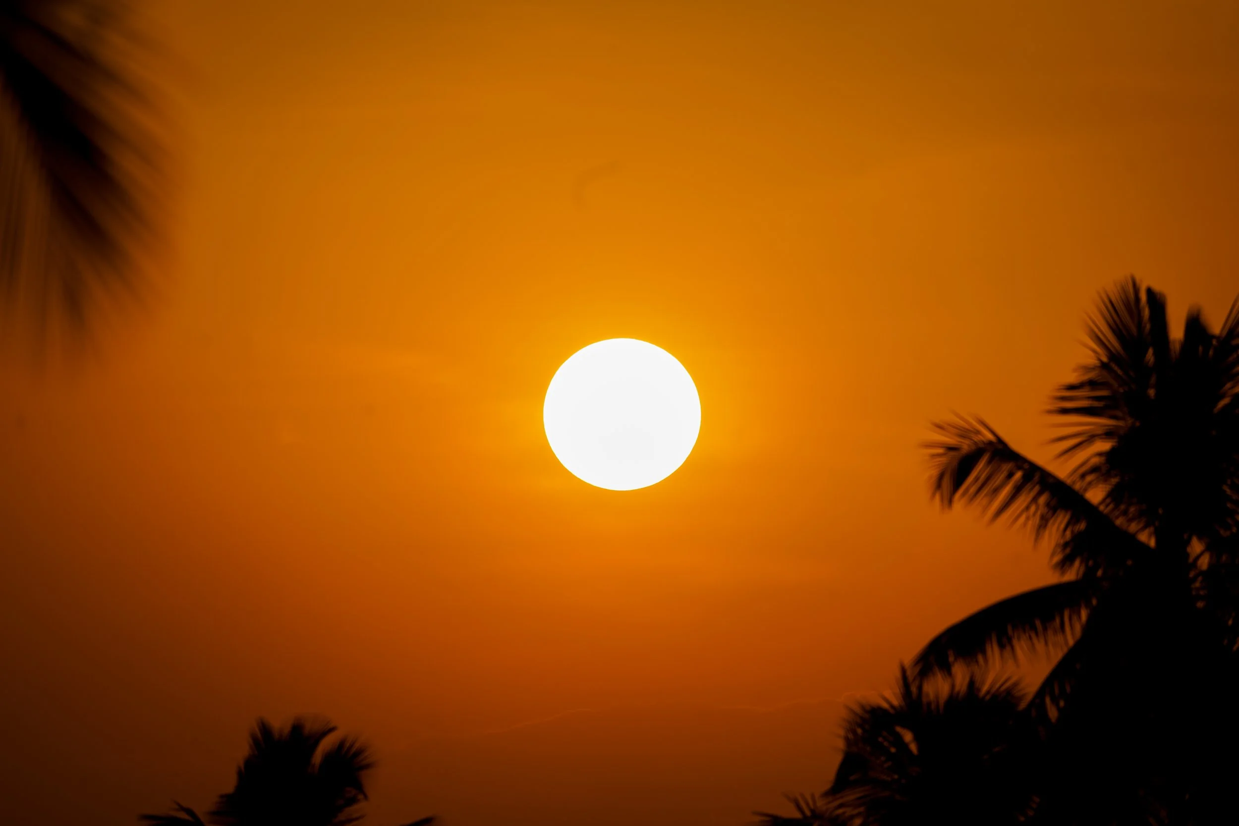 Burning Down — Sunset, South India