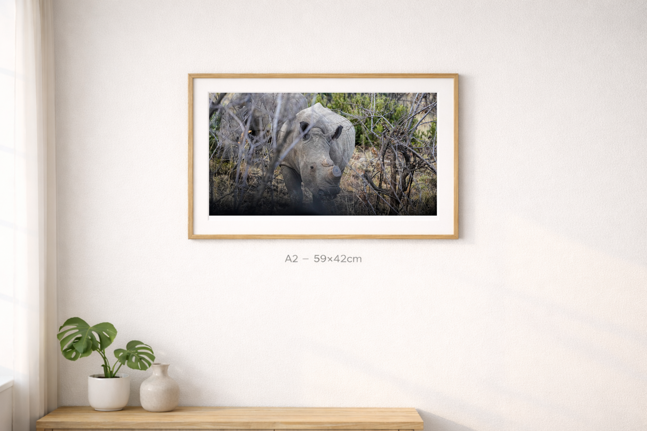 A2 Mockup - MS-5.png