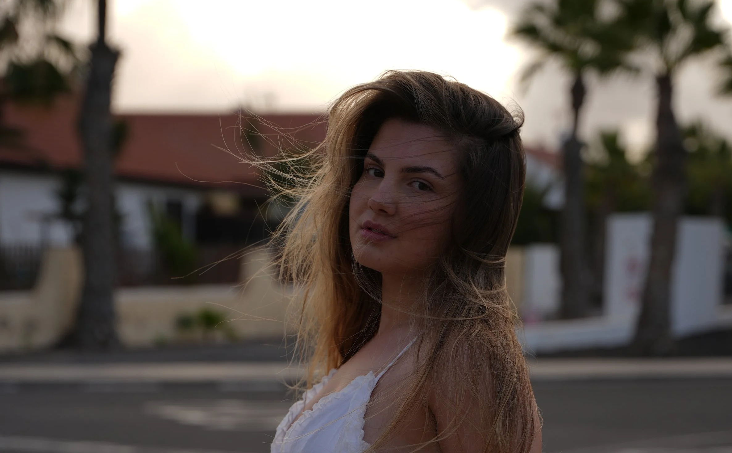 HEADER.png