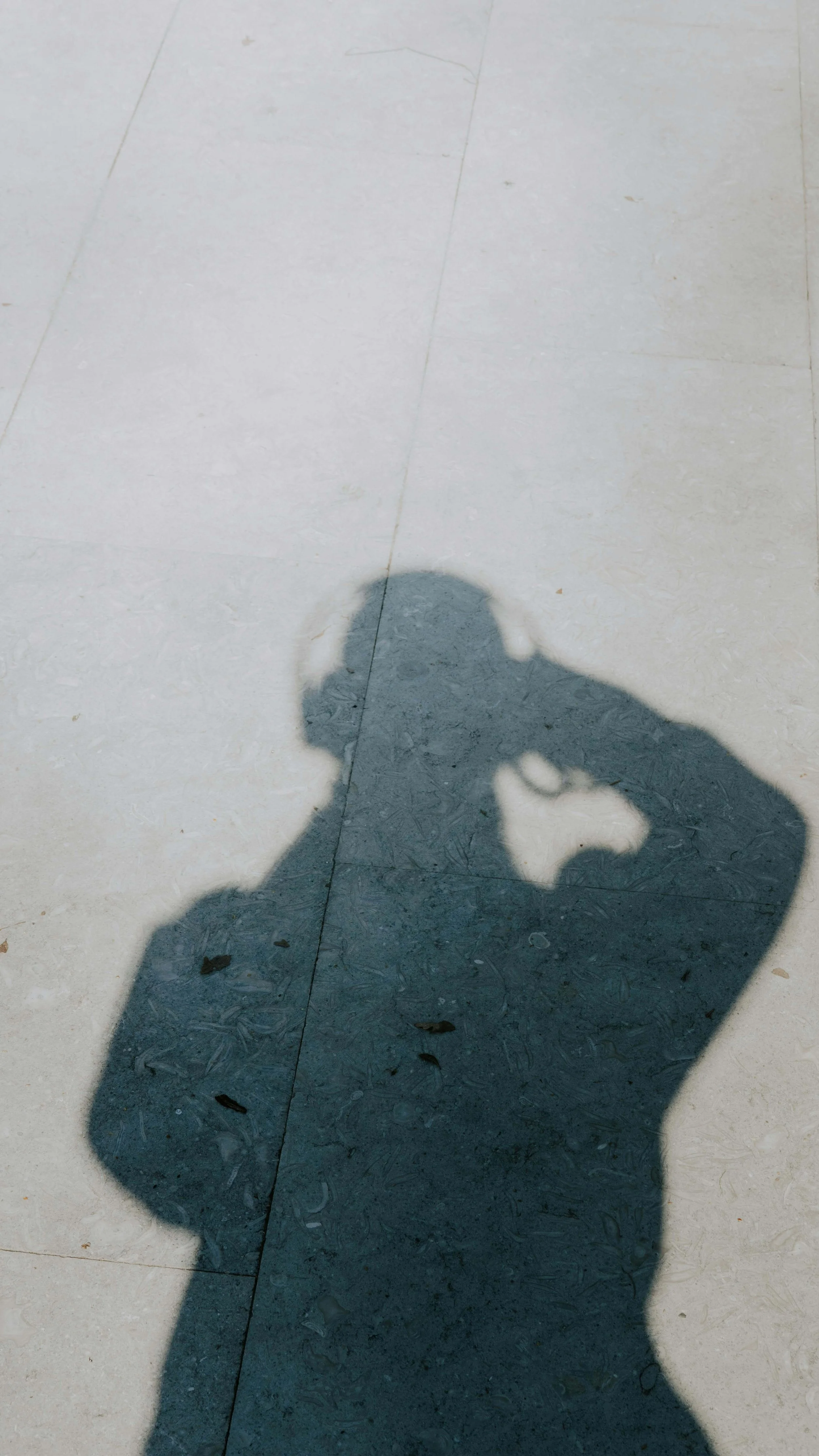 What Is the Difference Between Mental and Emotional Health? 