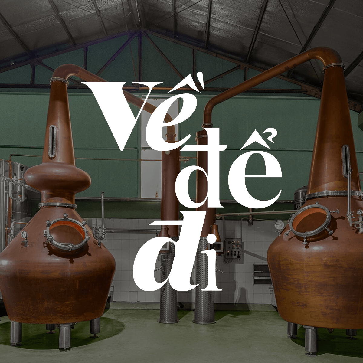 Large copper distillation stills inside a distillery.