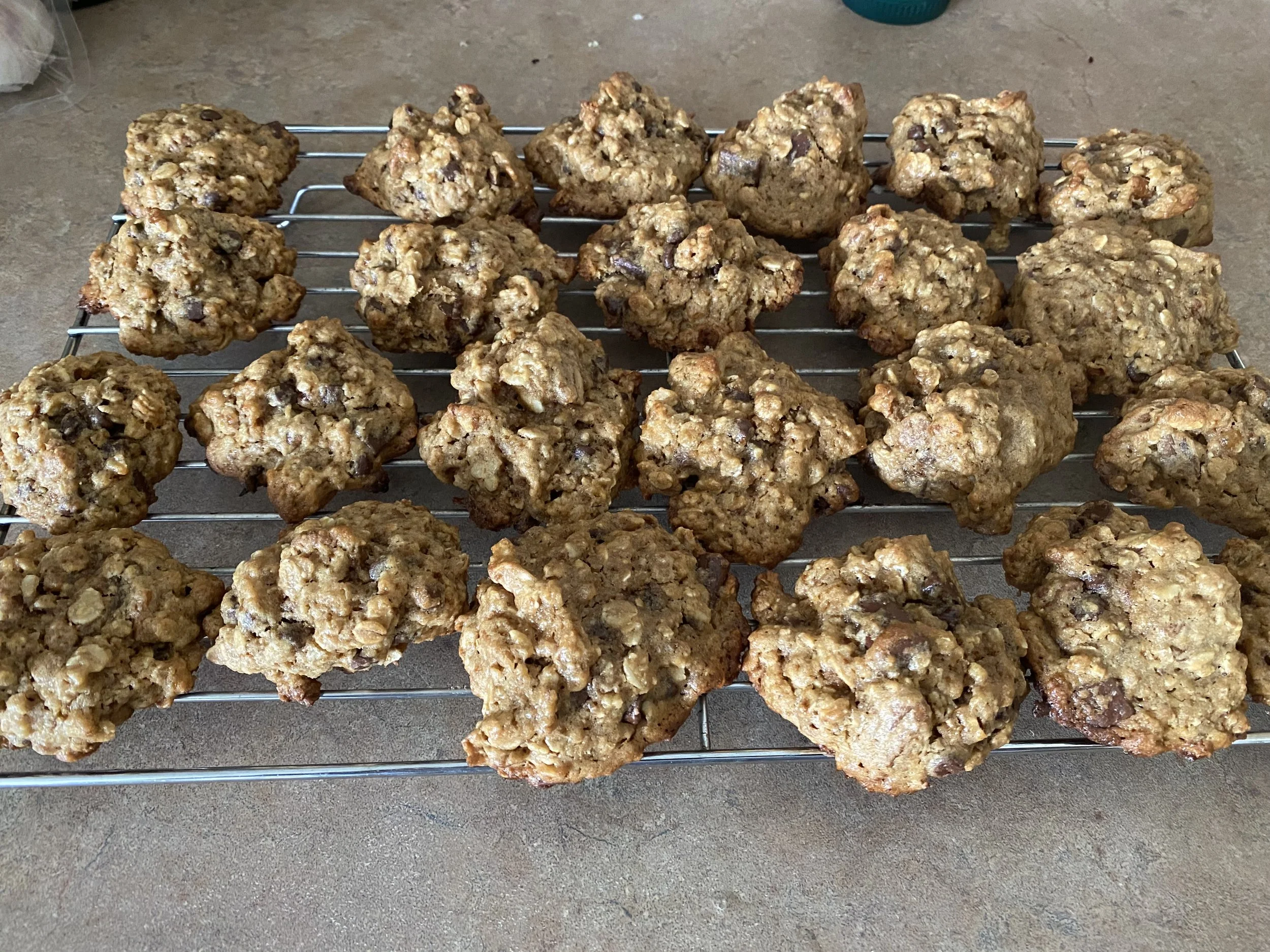 Chocolate oatmeal cookies