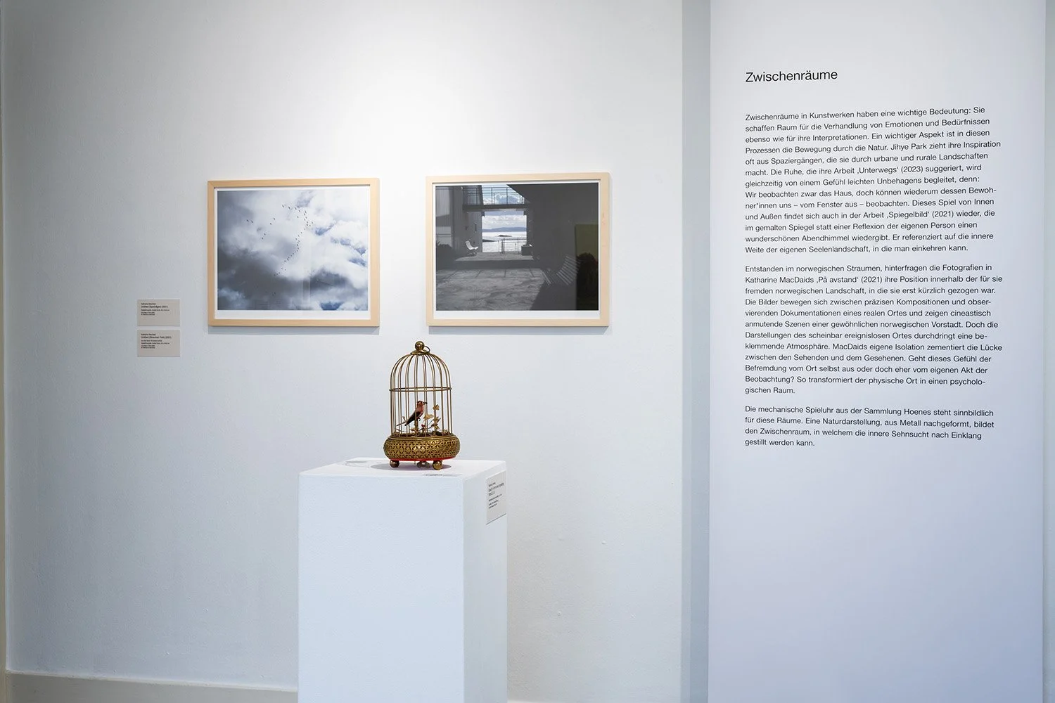 På Avstand, Der Ferne so nah, Museum Villa Rot, Ulm, Germany, 2023