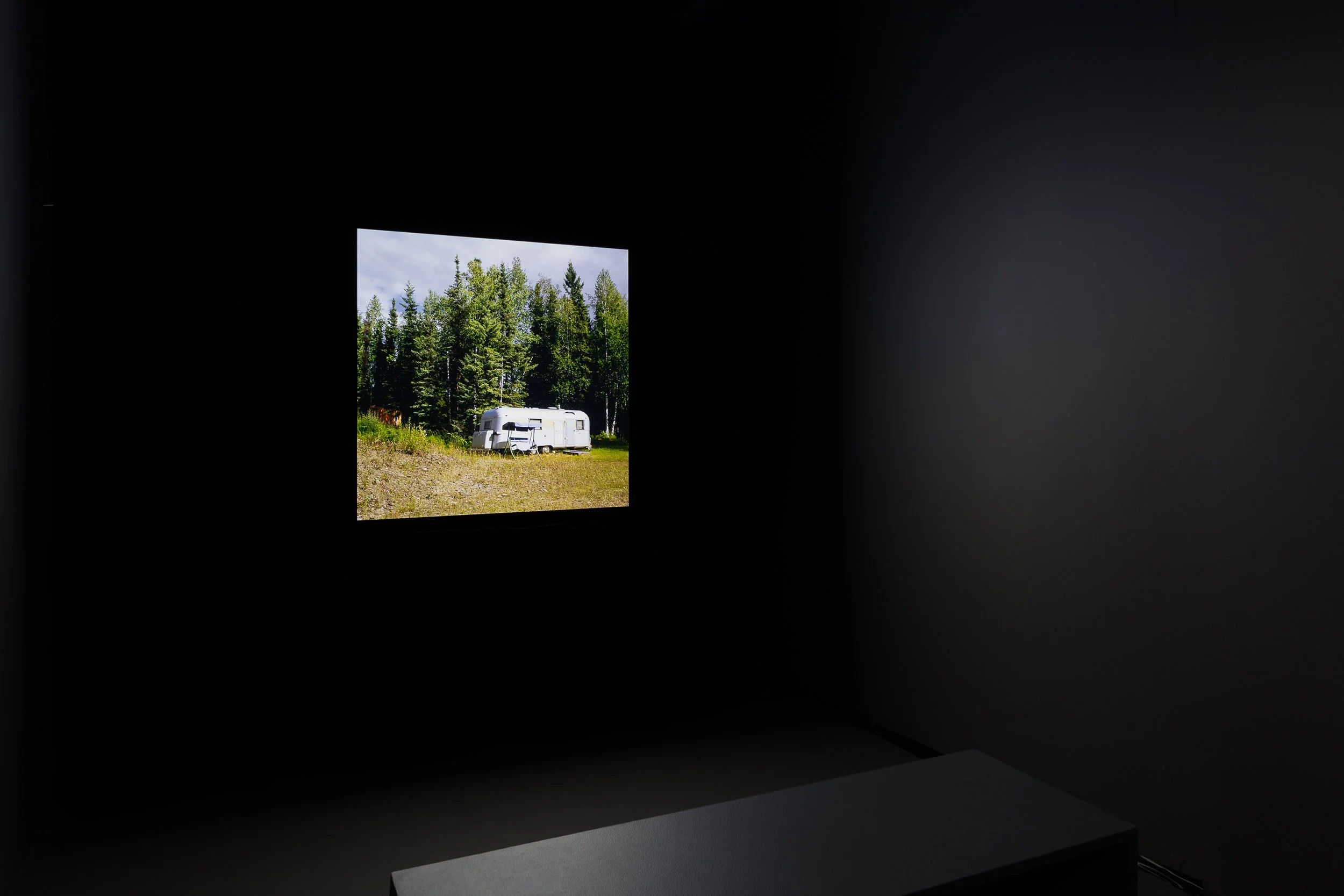 The Fireweed Turns (video projection with sound), Vårutstillingen 2024, Fotogalleriet, Oslo, Norway, 2024