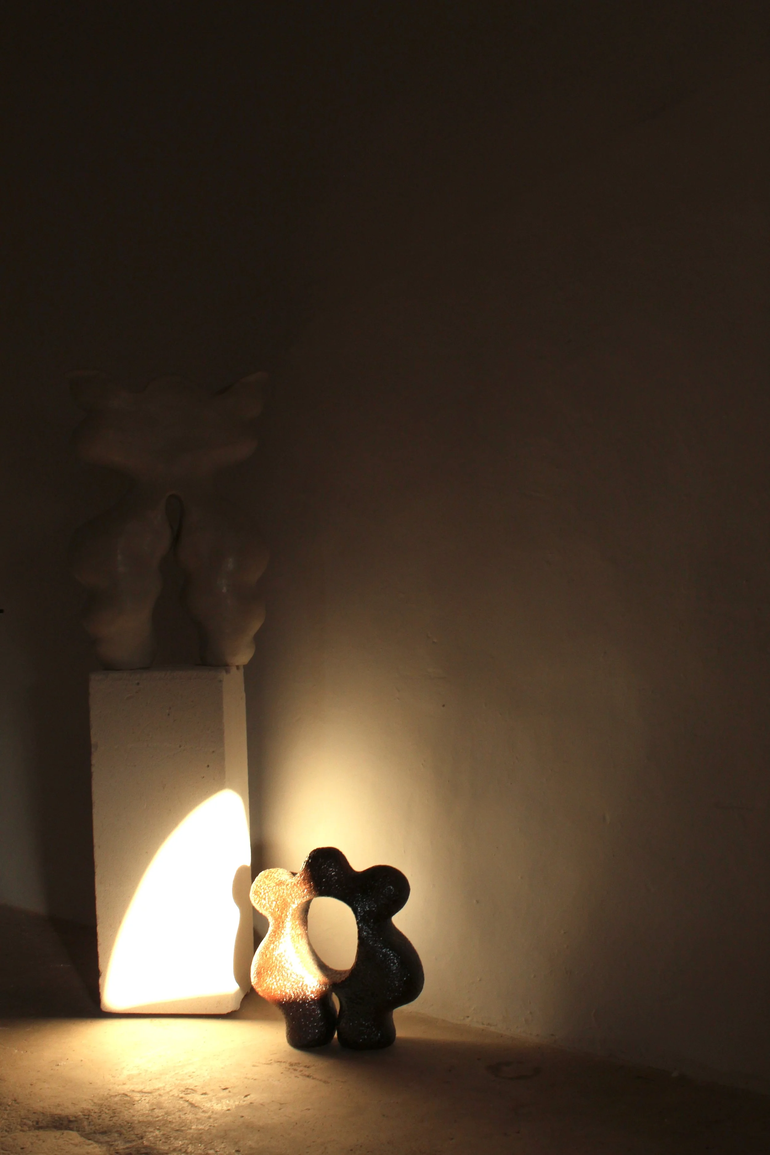 Two bear-shaped objects, one black and one light-colored, are placed on a surface next to a block with a sculpture on top. Light shines on them, casting shadows on the wall behind.