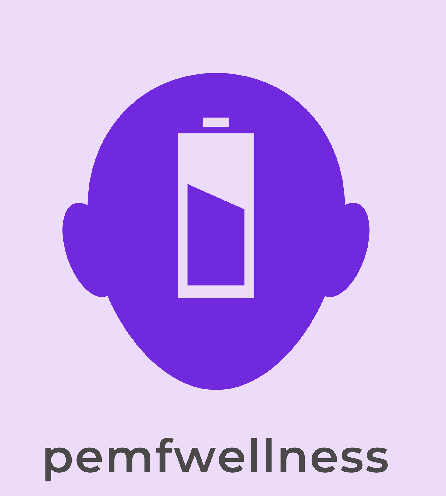 PEMF Wellness - Pulsed Electro Magnetic Field Therapy