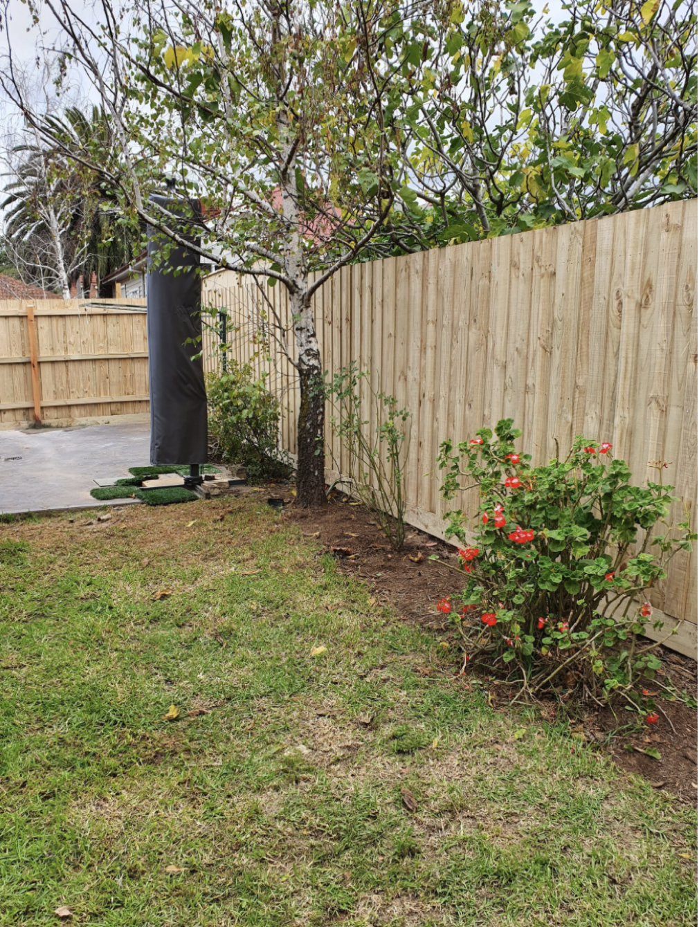 fence design.png