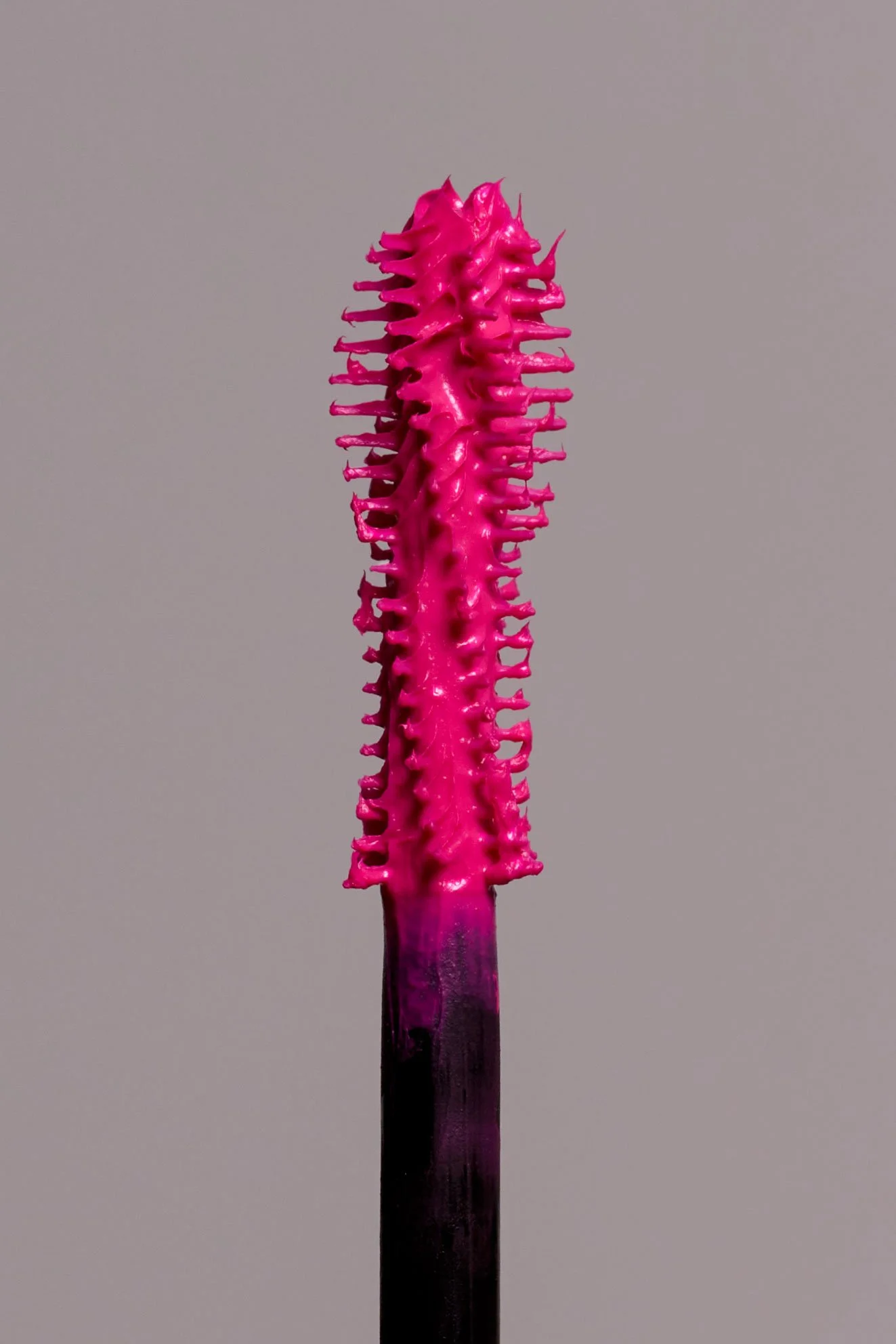 CÉLIA-10.jpg