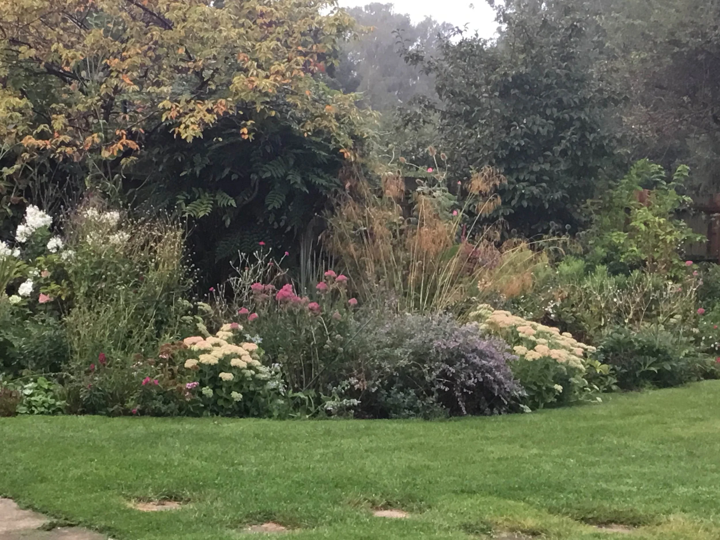 A backyard garden with a well-maintained green lawn, flower beds with various colorful flowers, and lush trees in the background on an overcast day.