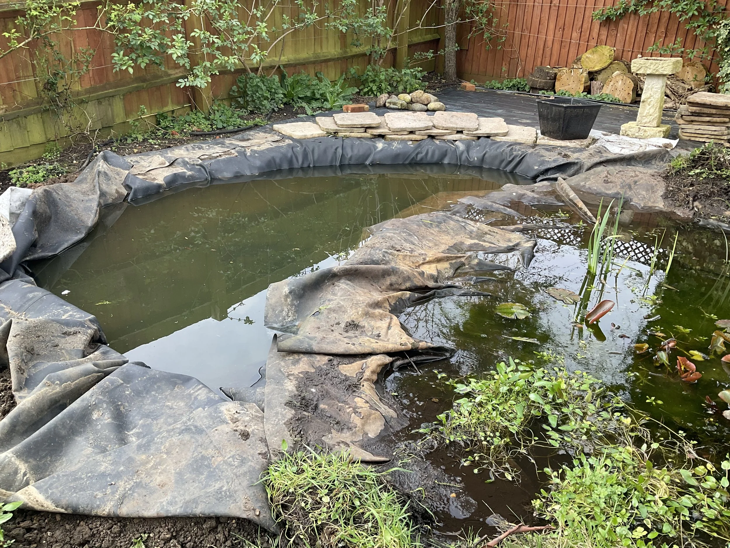 Extending the pond.
