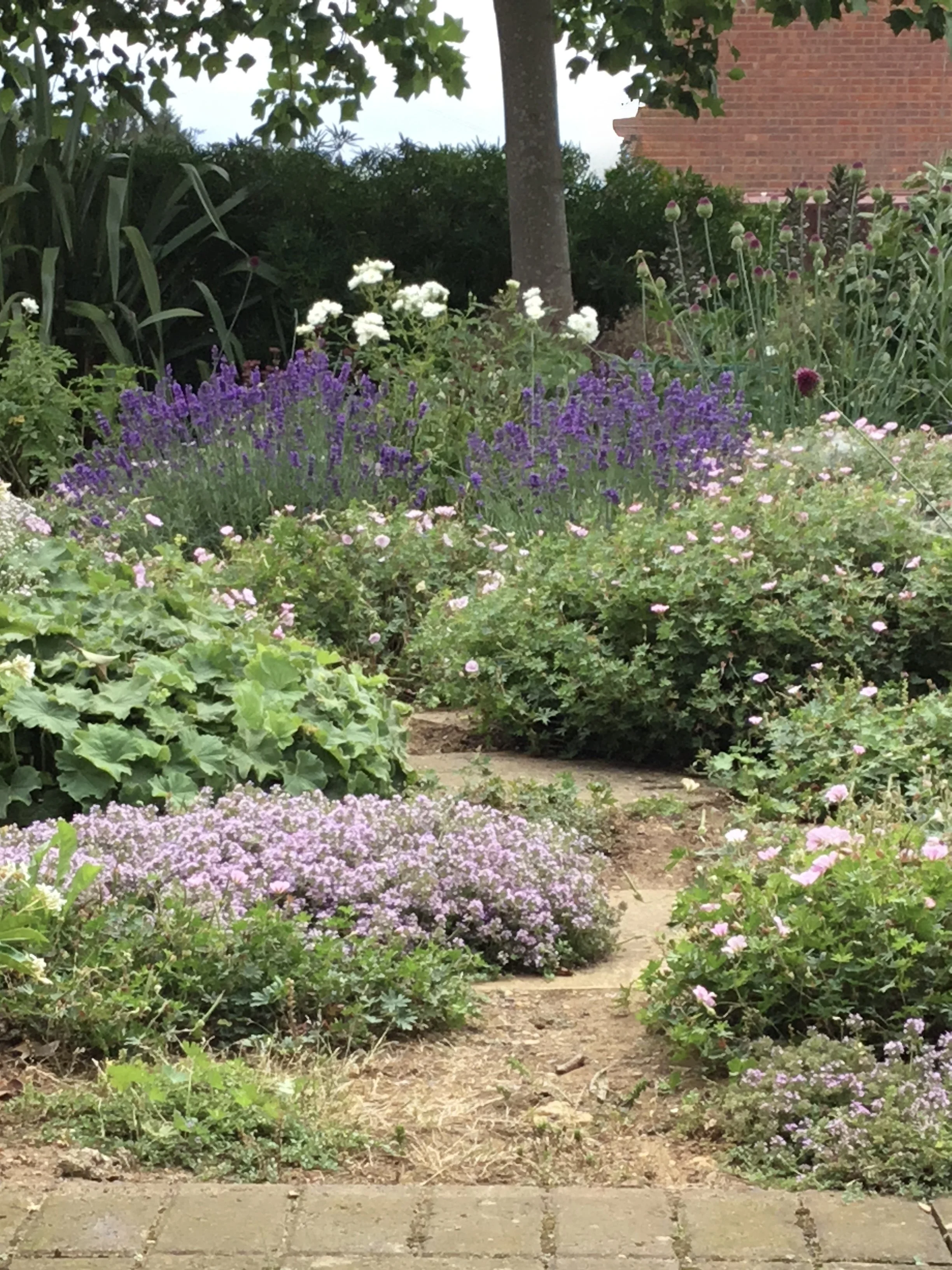 A garden scene with a brick pathway, greenery, various flowering plants, including purple, pink, and white flowers, and a tree with a brick building partially visible in the background.