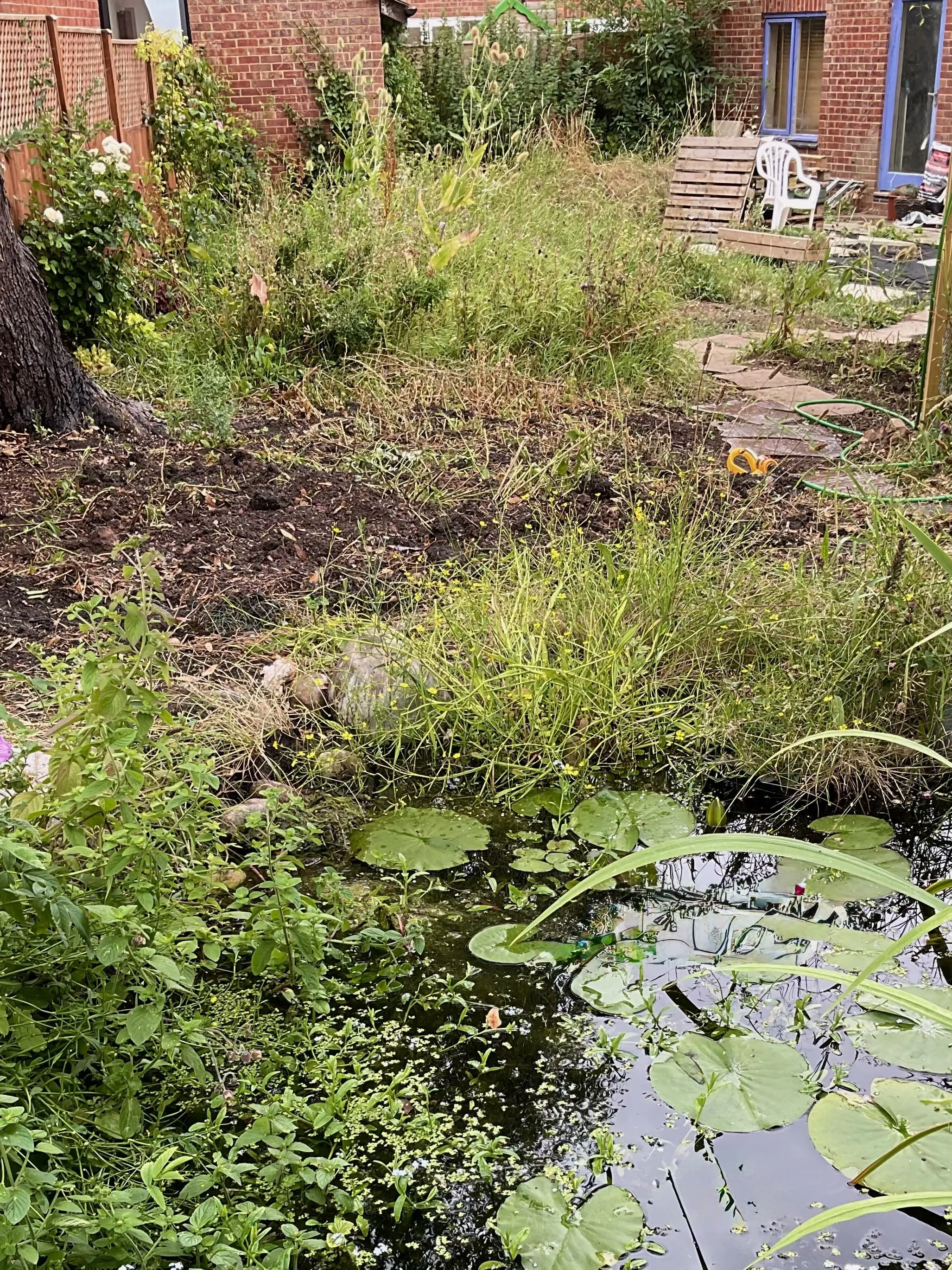 In the beginning a rather confused, odd shaped, neglected garden.