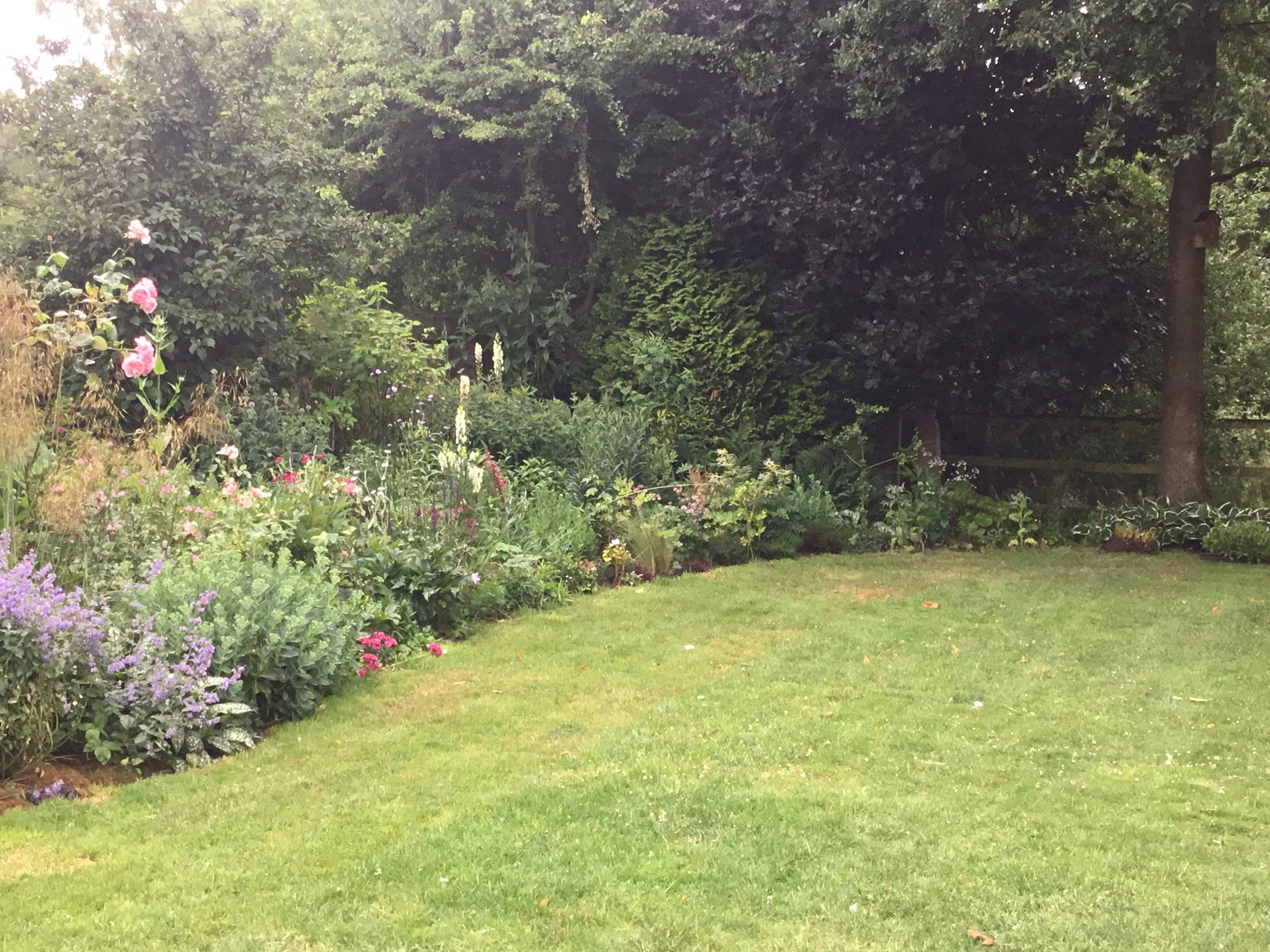 A lush garden with a well-maintained green lawn and a vibrant flower bed on the left side, surrounded by tall trees and dense foliage in the background.