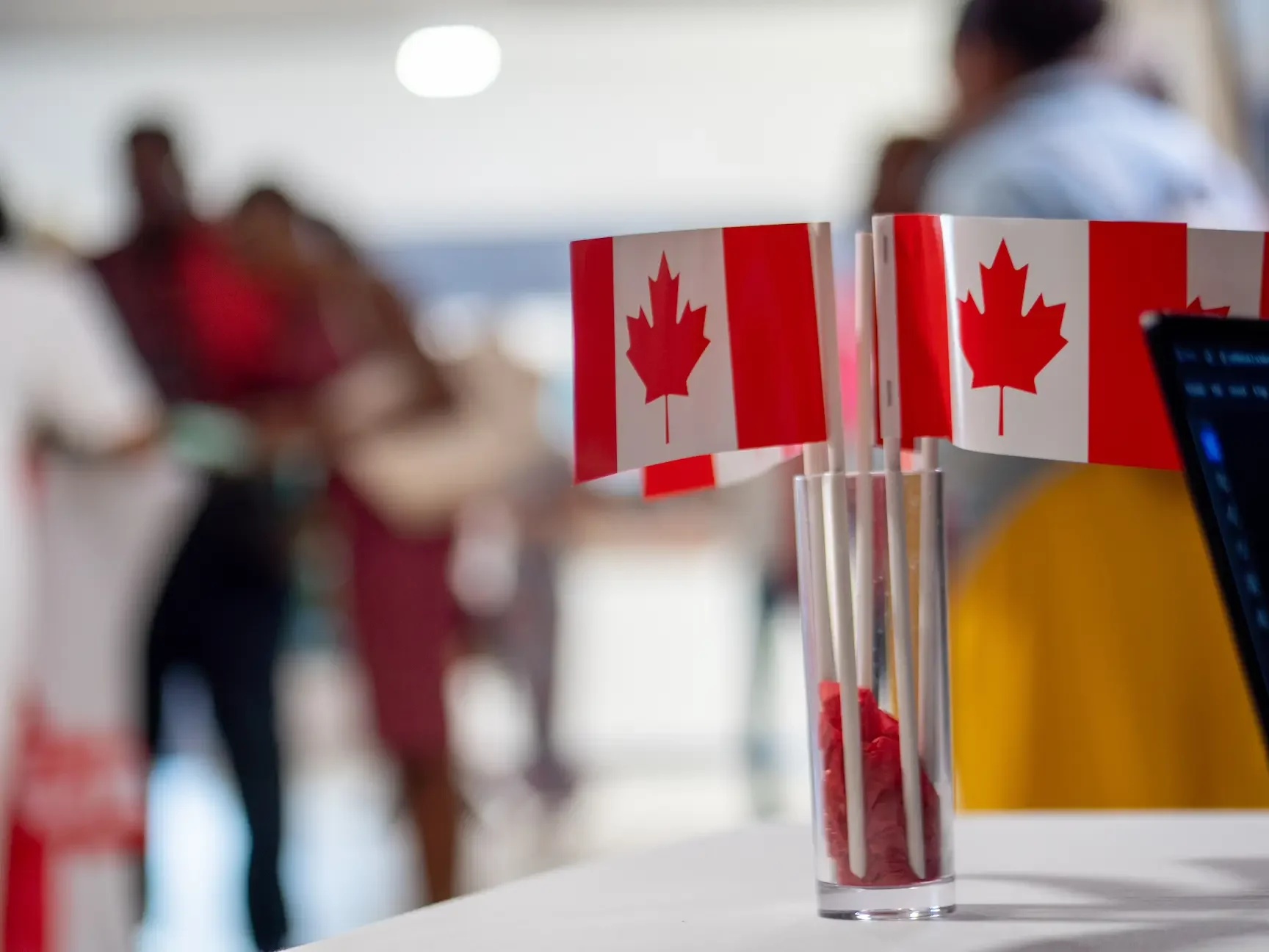 Vase avec plusieurs petits drapeaux du Canada sur un fond flou de personnes.