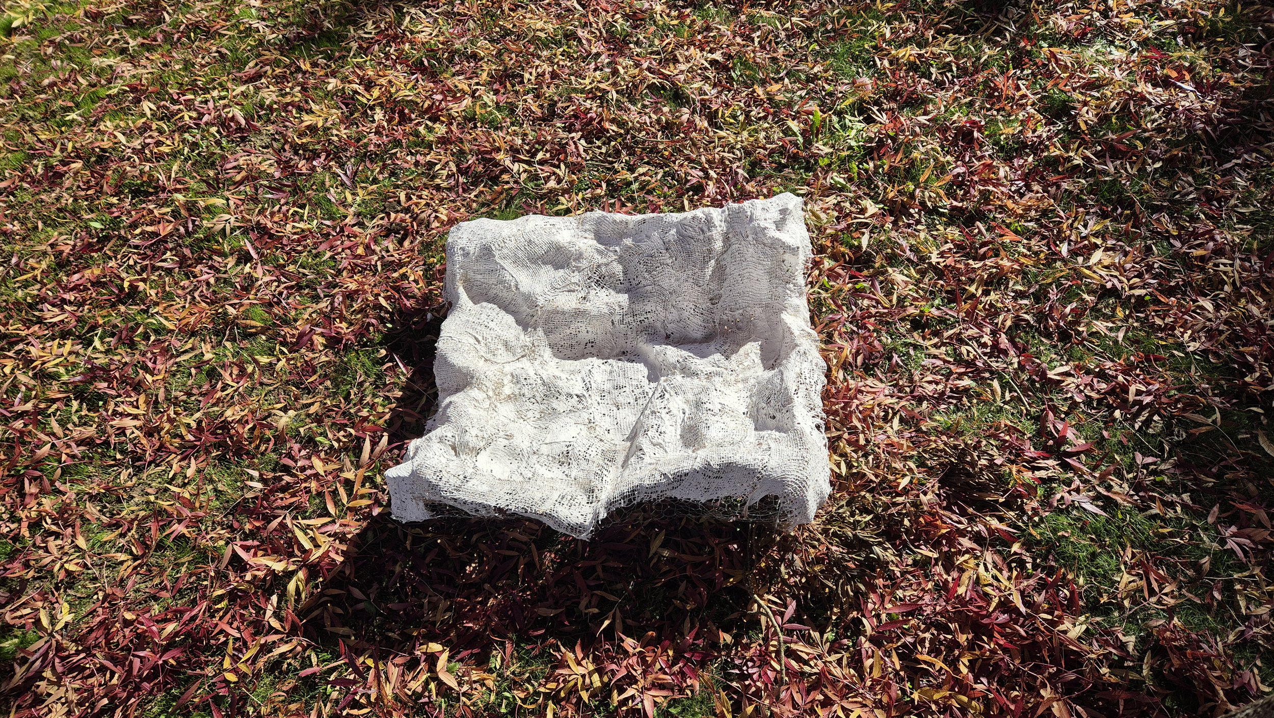Cushion My Fall (2024)