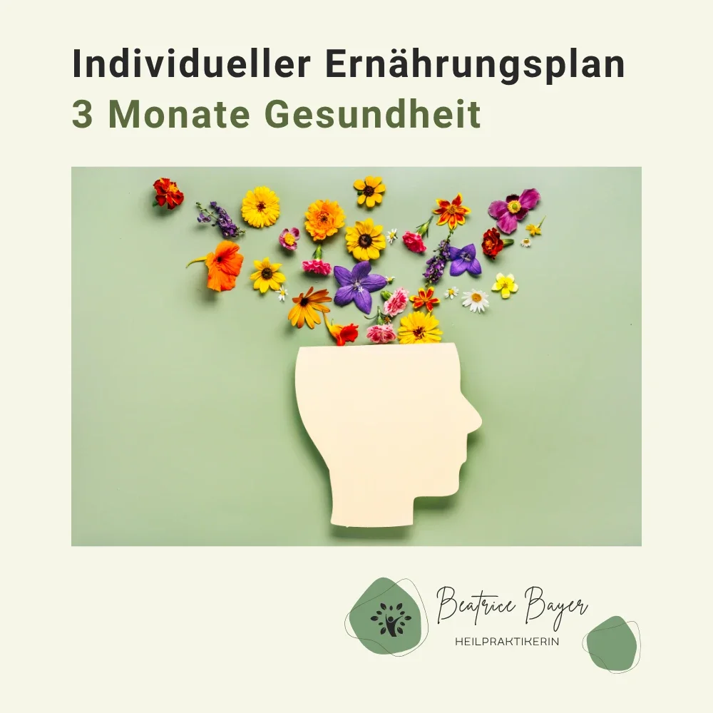 Individueller Ernährungsplan: 3 Monate Gesundheit