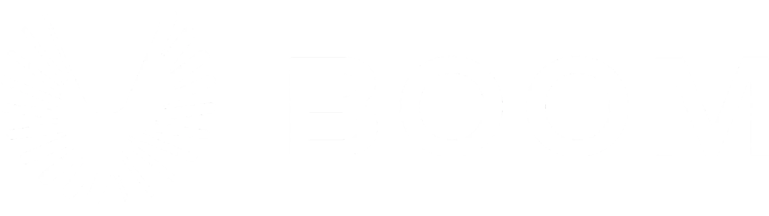 Black and white logo with a stylized dove on the left and the word 'BOOM' next to it.