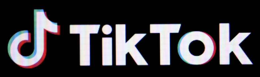 TikTok logo with the word 'TikTok' beside it.