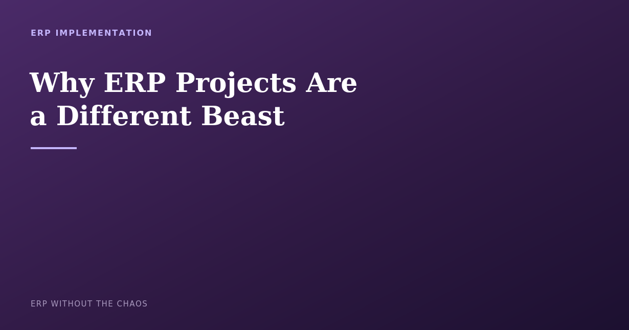      
  

 
  
     
 

   ERP Implementation 

   Why ERP Projects Are a Different Beast 

   Most companies underestimate ERP projects because they're comparing them to the wrong thing. Here's what actually sets them apart. 

   

   We've talked b