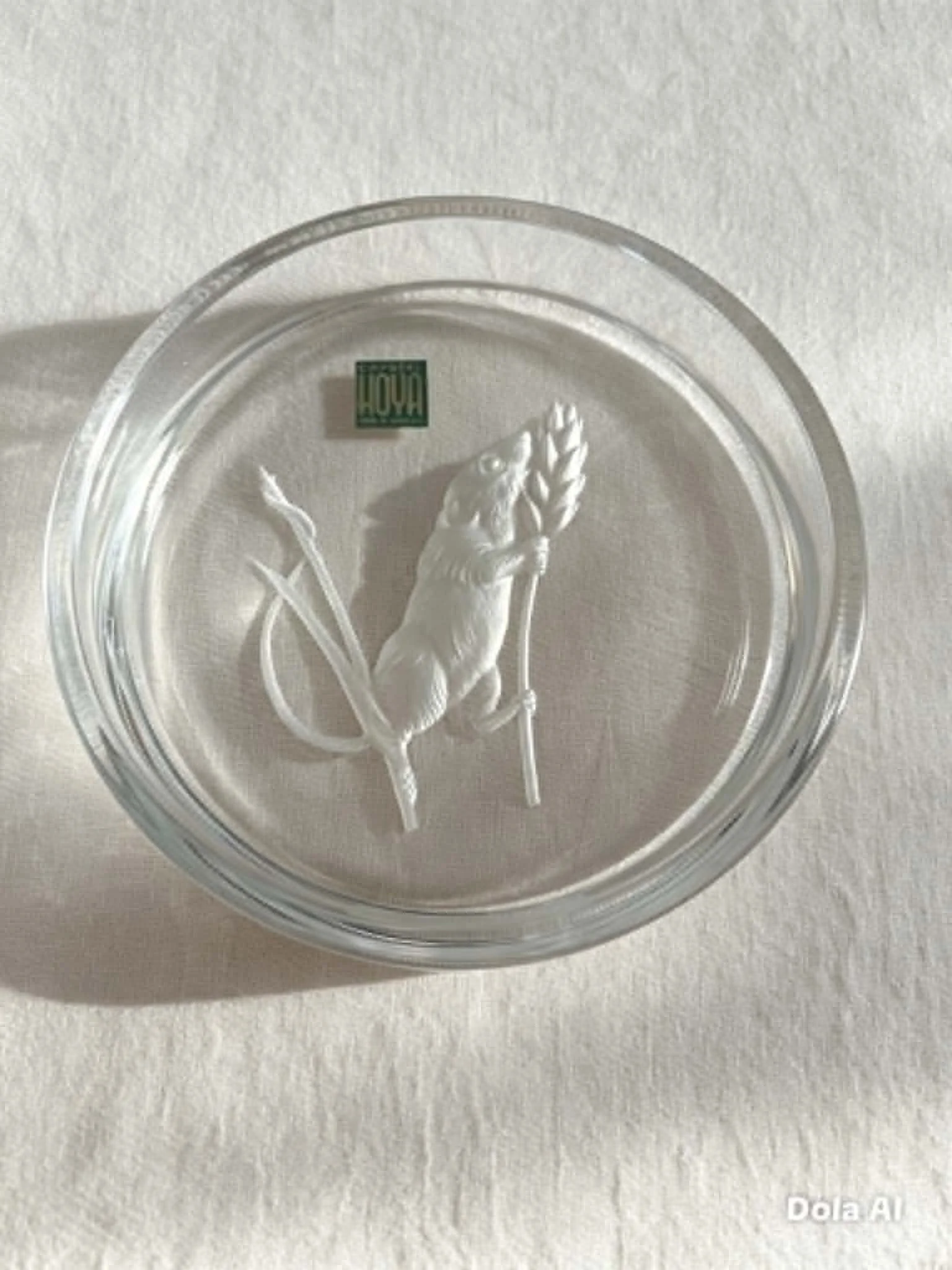 mouse coaster.jpg