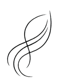 Abstrakte Musiknoten und Linien in schwarz auf weißem Hintergrund.