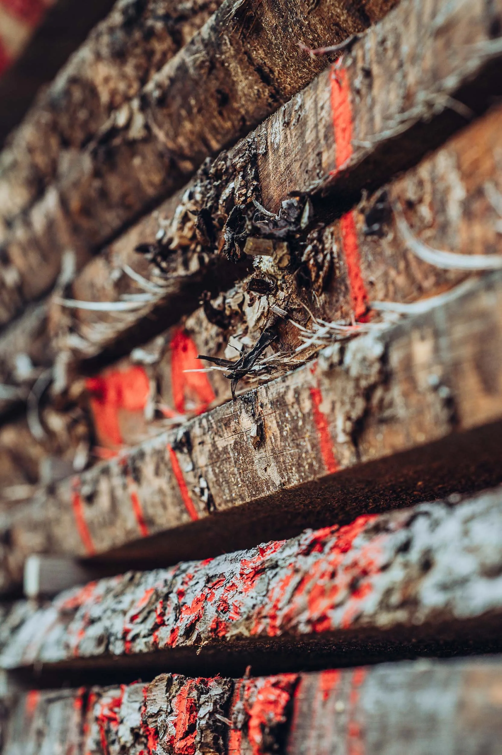 p-2025-074_schaerer-holz_fotoproduktion-bildwelten-web-258.jpg