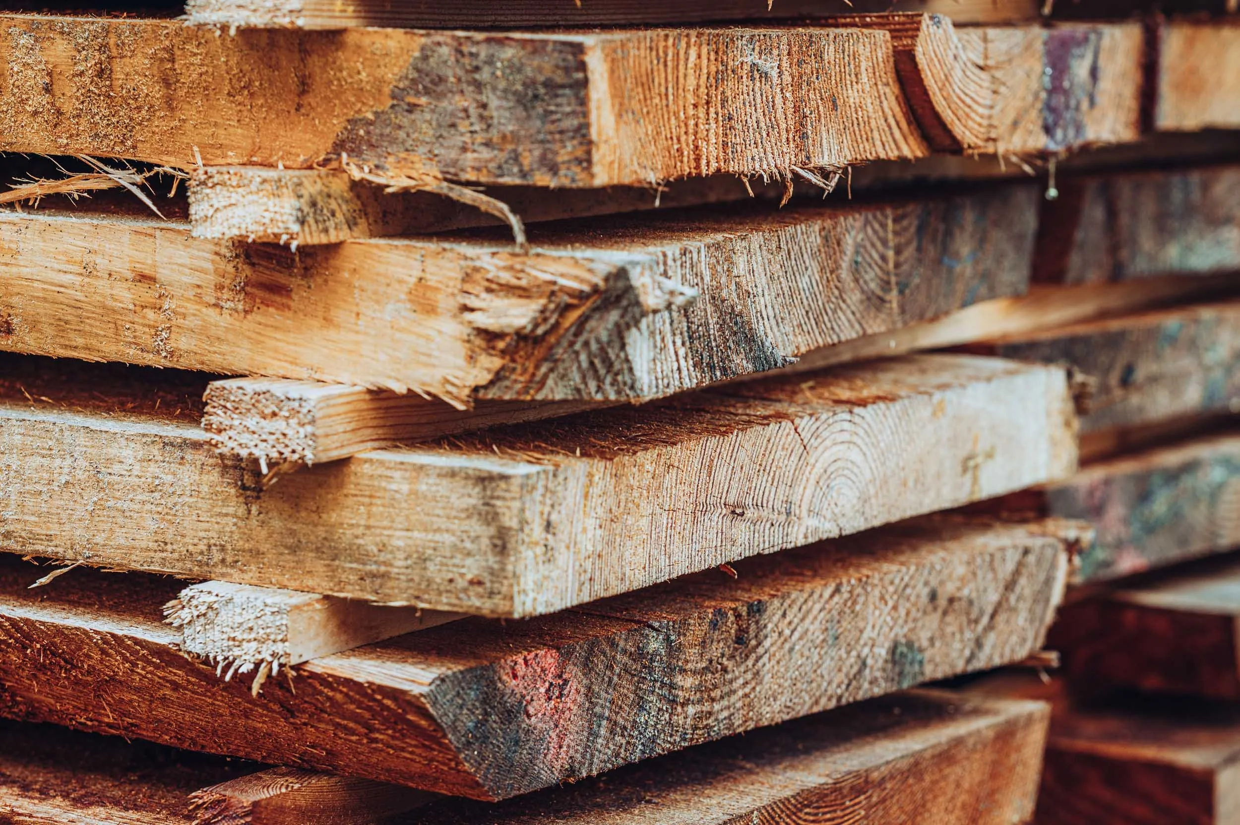 p-2025-074_schaerer-holz_fotoproduktion-bildwelten-web-259.jpg