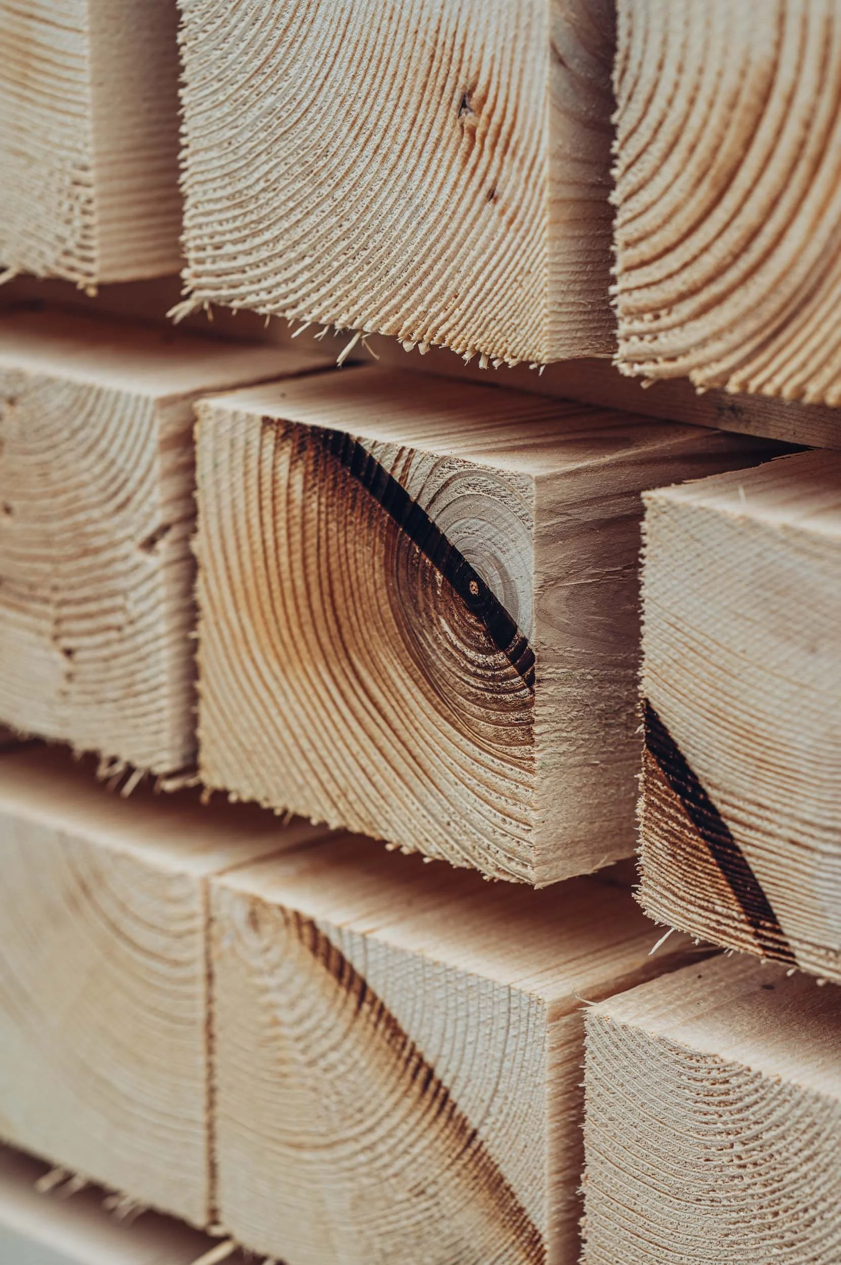 p-2025-074_schaerer-holz_fotoproduktion-bildwelten-web-253.jpg
