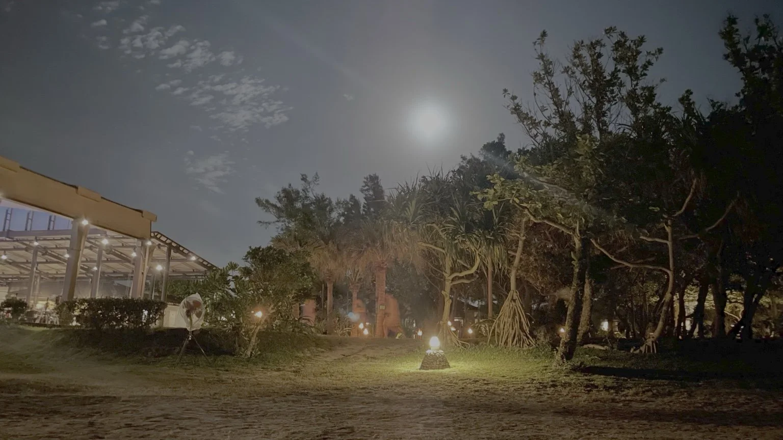 Like the moon appearing quietly in the night sky.