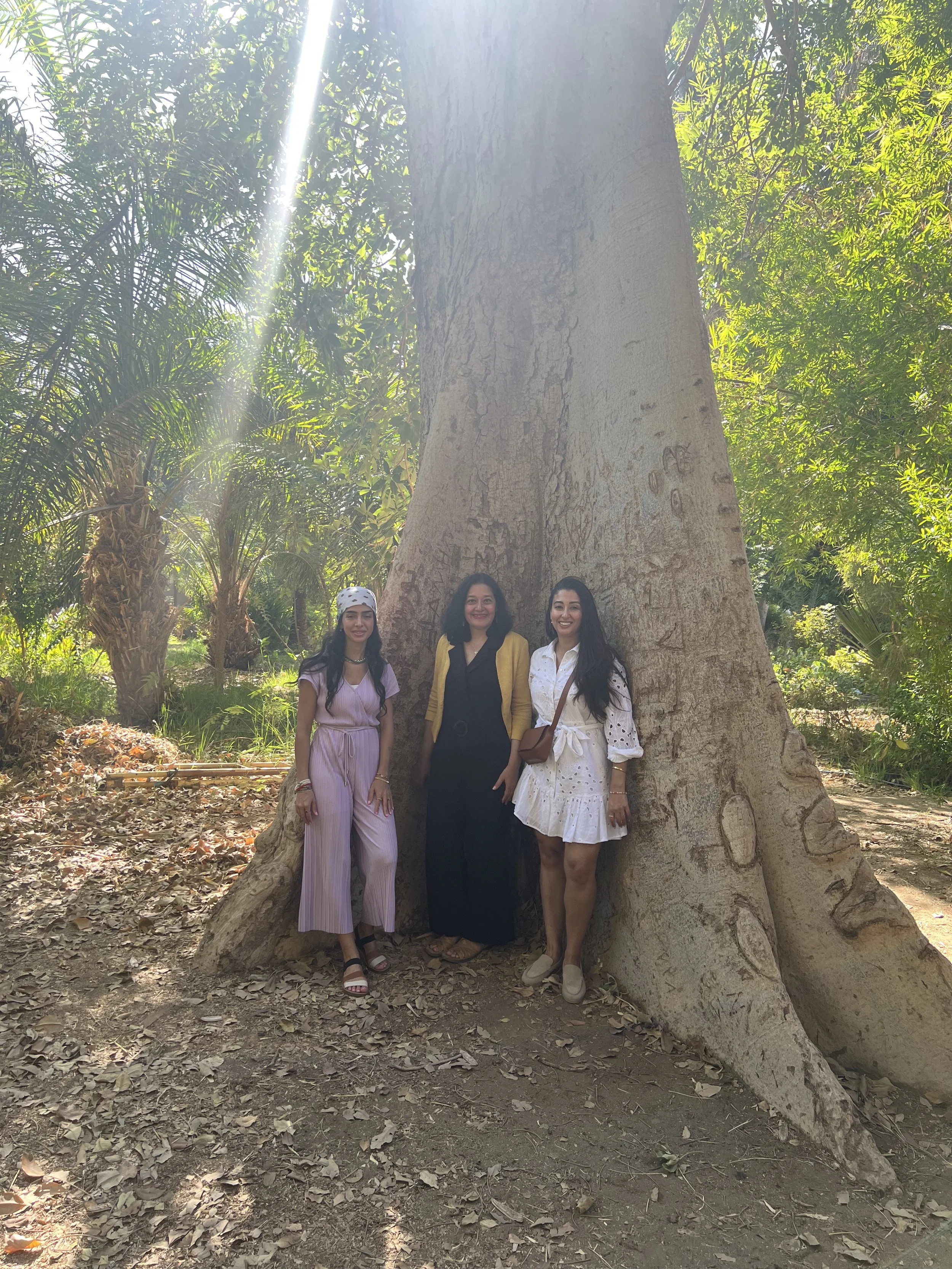 Botanical gardens .jpg