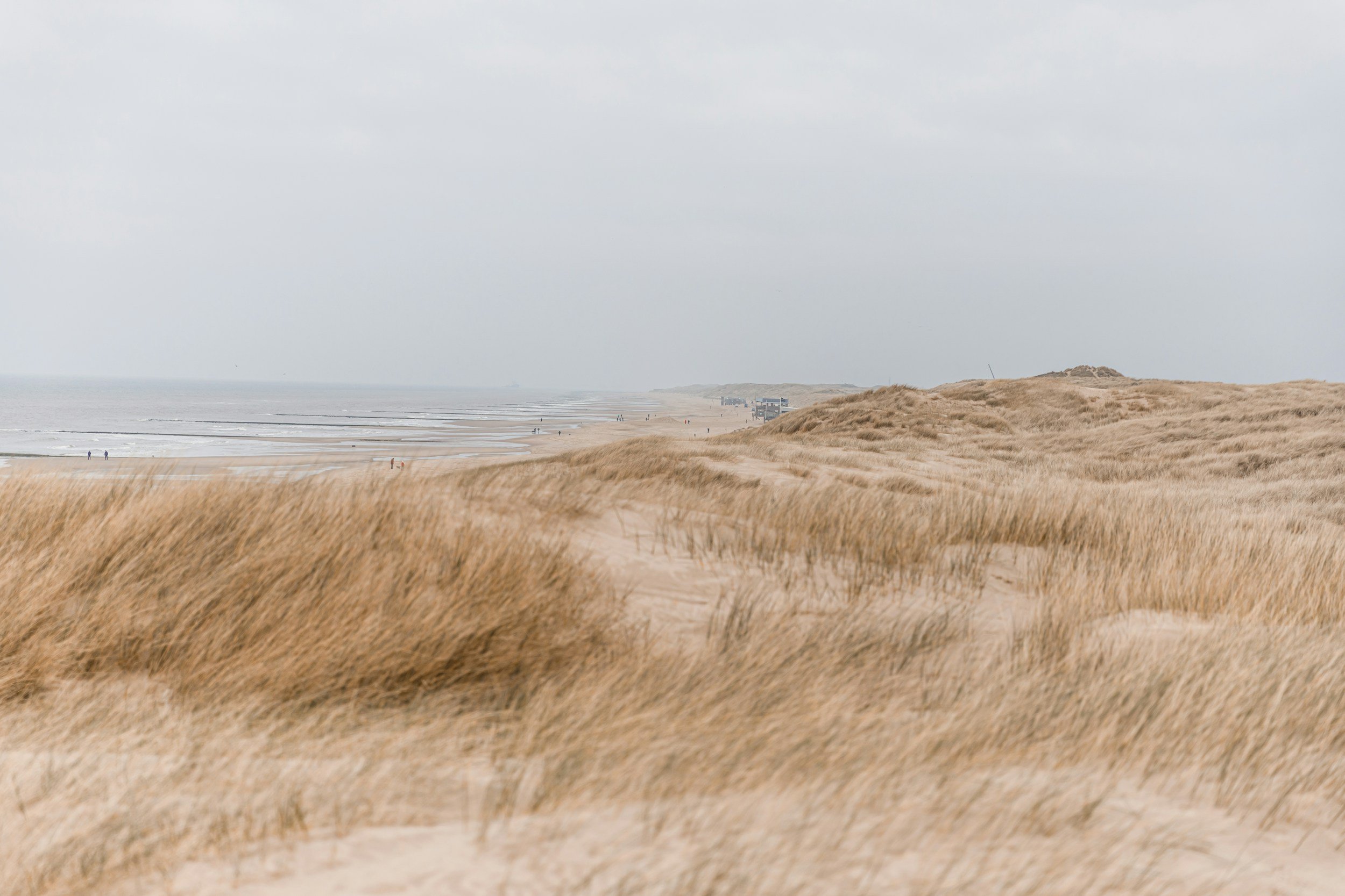 Sandy dunes with tall grass leading towards a beach with waves and a cloudy sky in the distance.