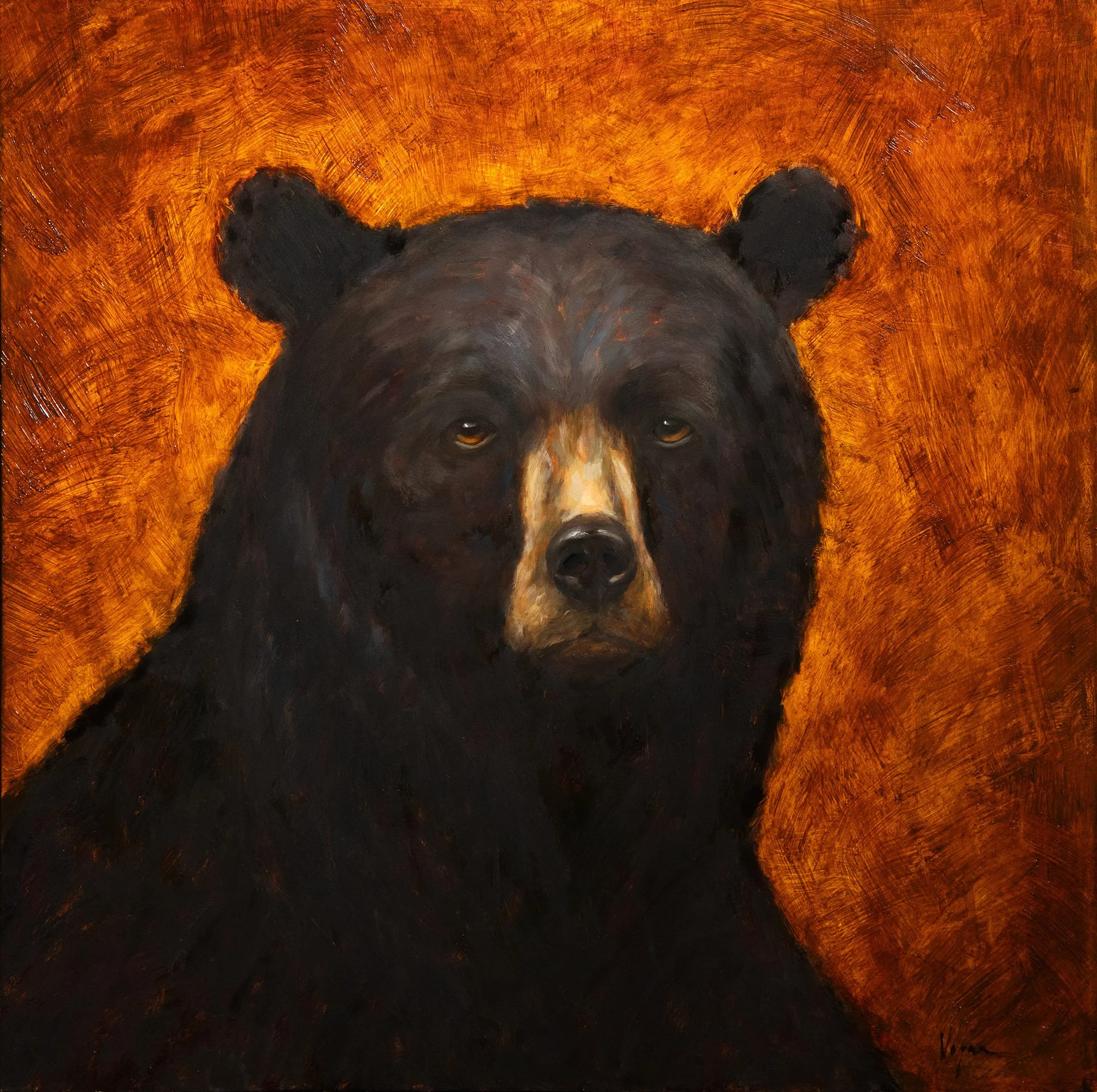 Black Bear - Oil on Cradled Panel (18x18)