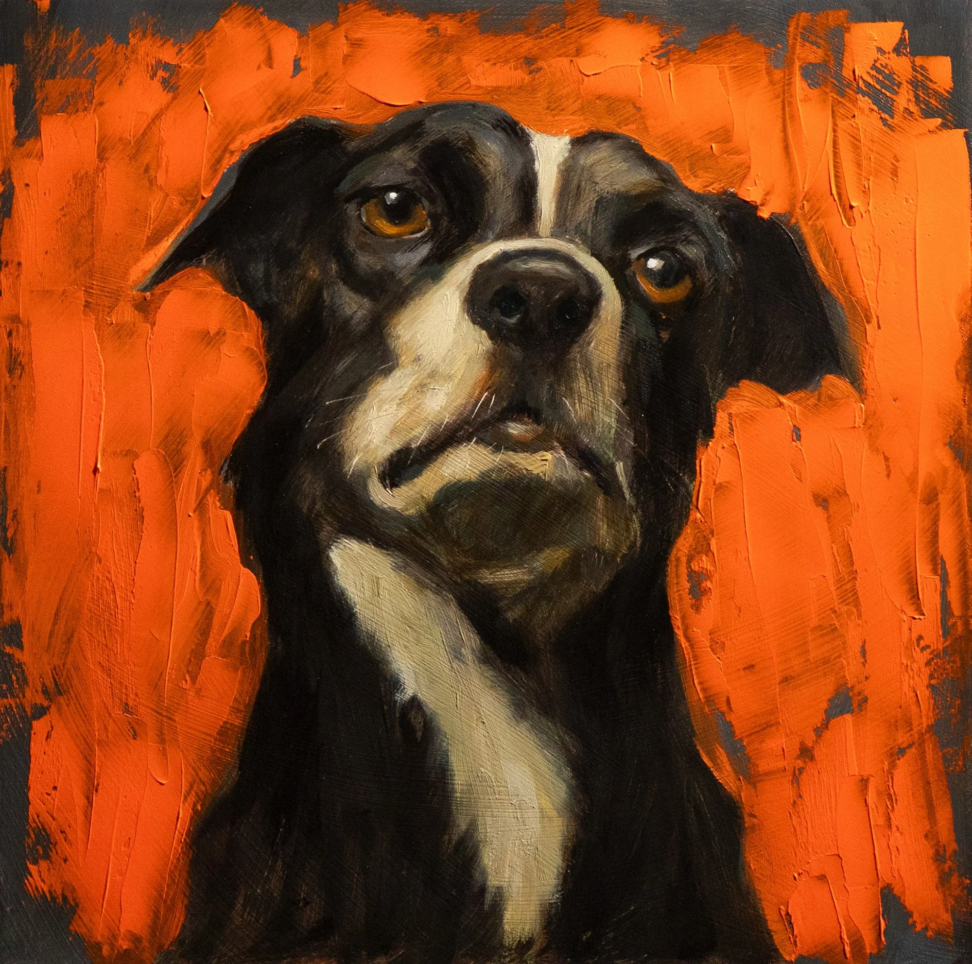 Black & Orange - Oil on Panel (8x8) 