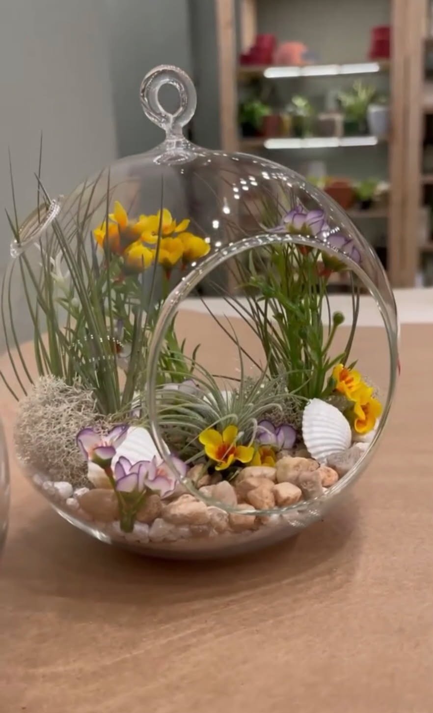 Terrarium workshop classes