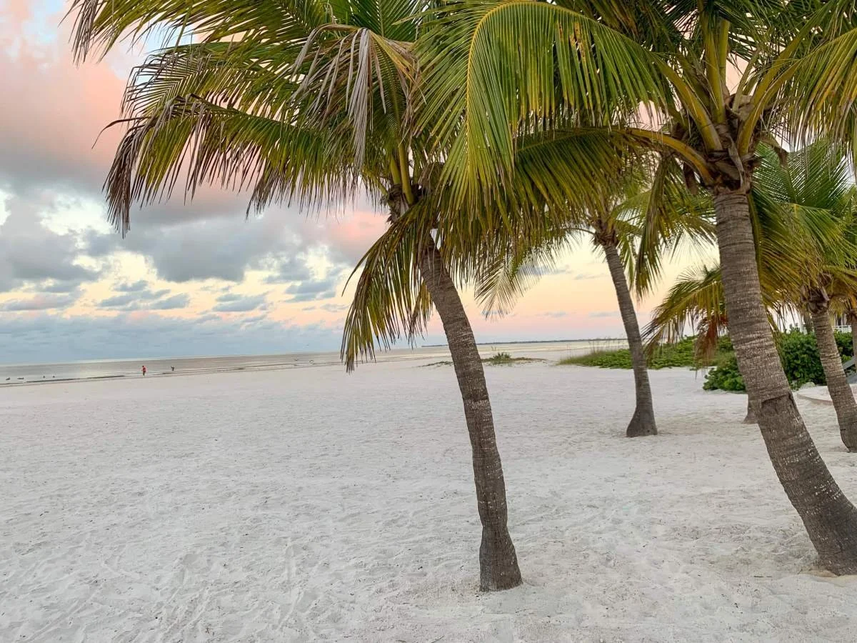 Beach scene with palm trees, white sand, cloudy sky, and pinkish sunset