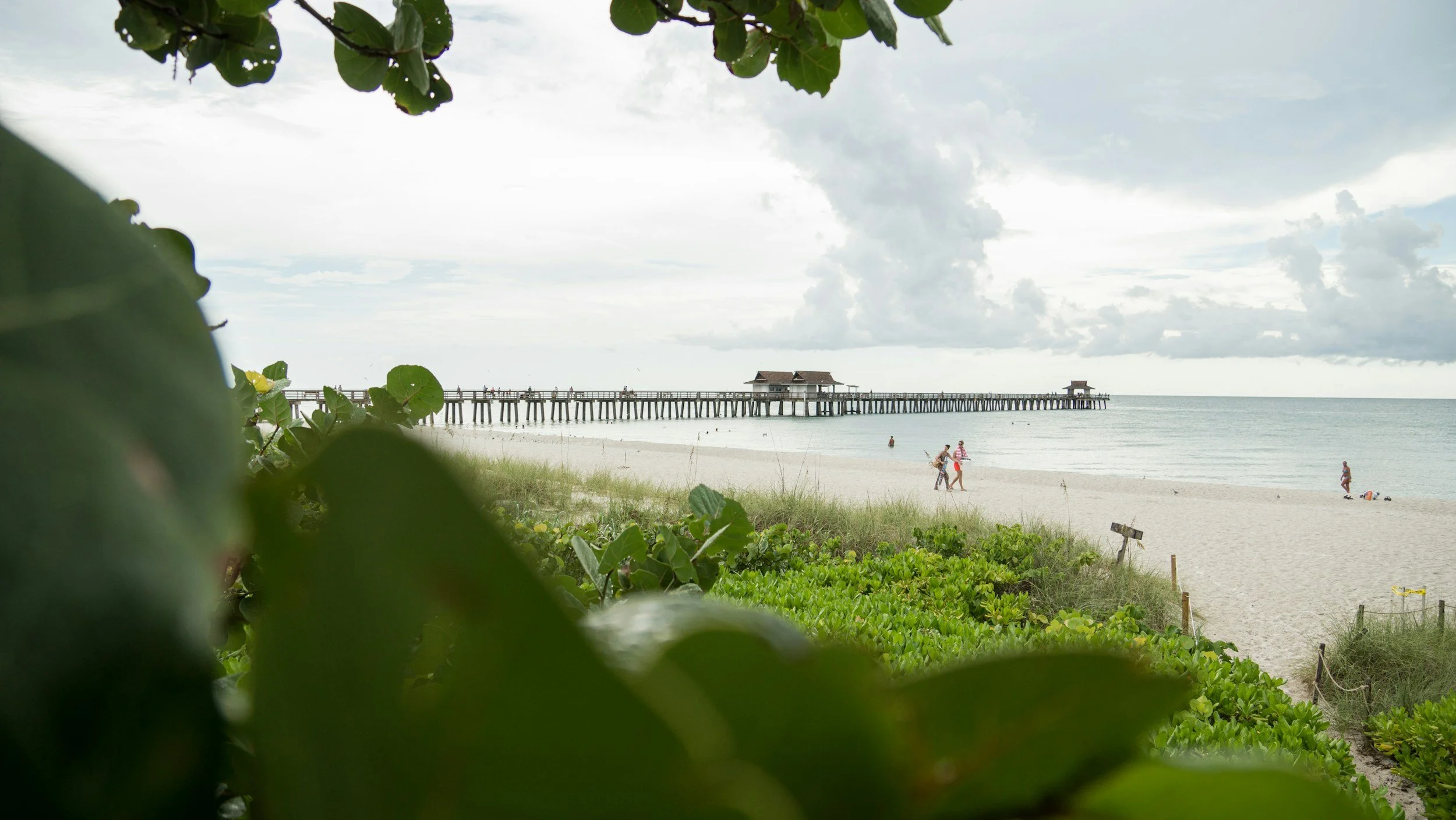 The Naples Experience