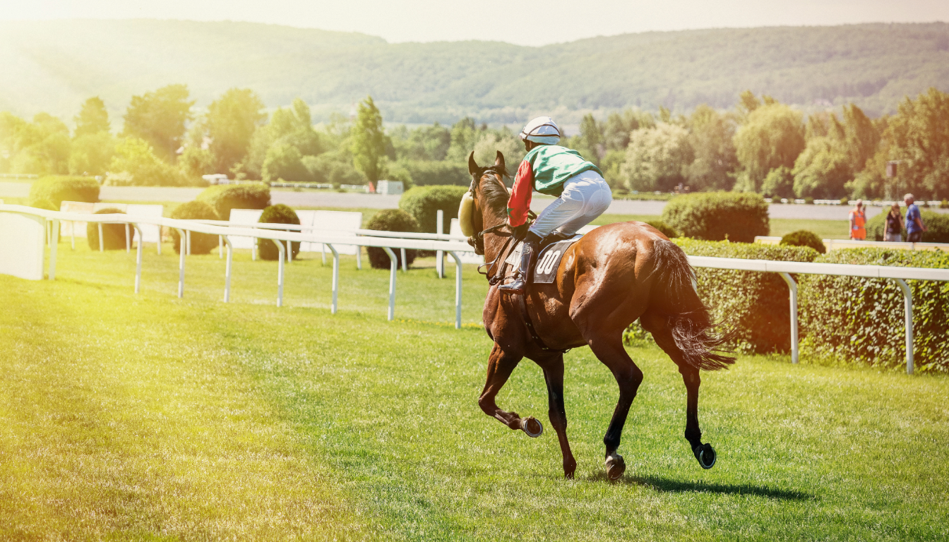 The Derby Experience